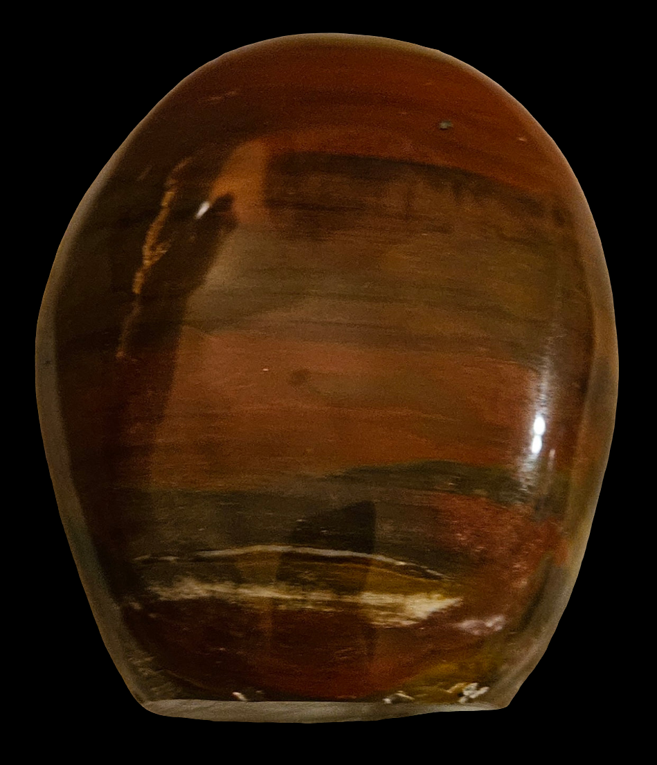 Petrified Wood Crystal Free Form 3.5 Inch