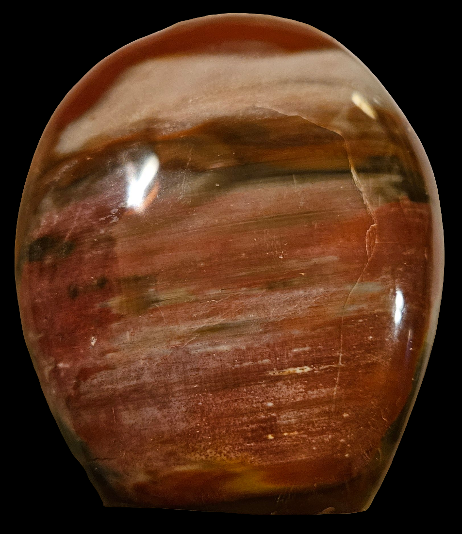 Petrified Wood Crystal Free Form 3.5 Inch