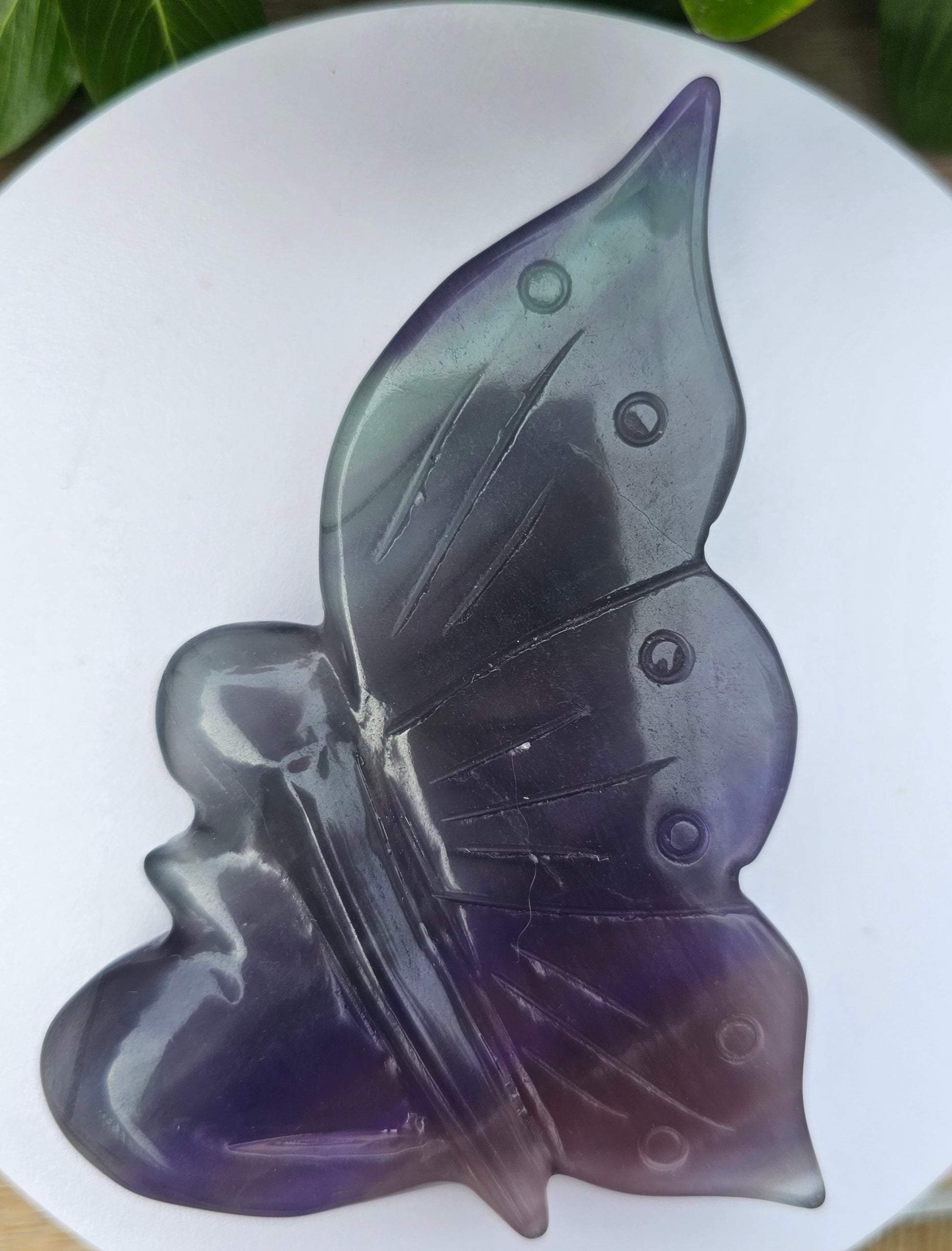 Rainbow Fluorite Crystal Butterfly - 4 x 2.75 Inch Healing Crystal