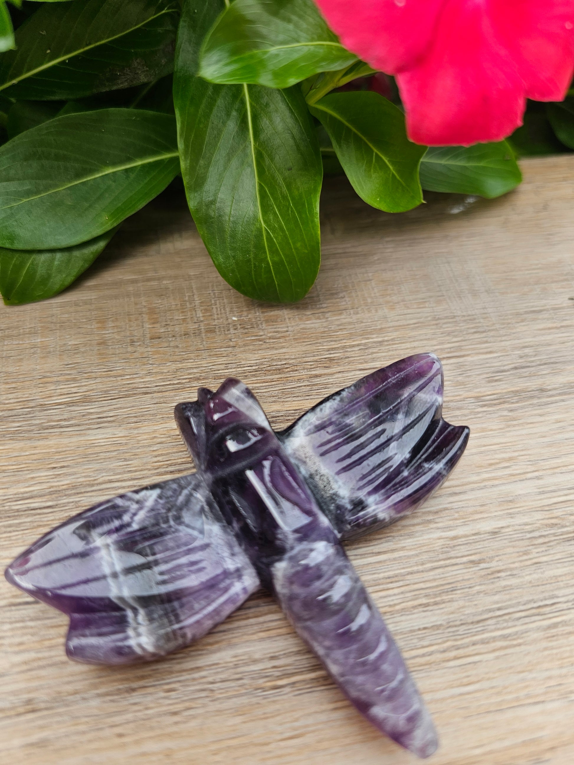 Amethyst Crystal Dragonfly - 3.25 x 2.5 Inch Healing Crystal Figurine