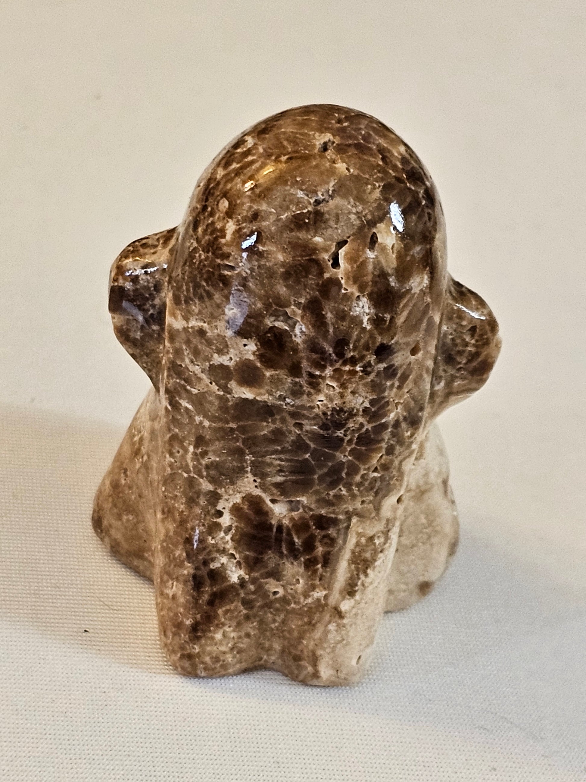 Chocolate Calcite Crystal Ghost 2 Inch