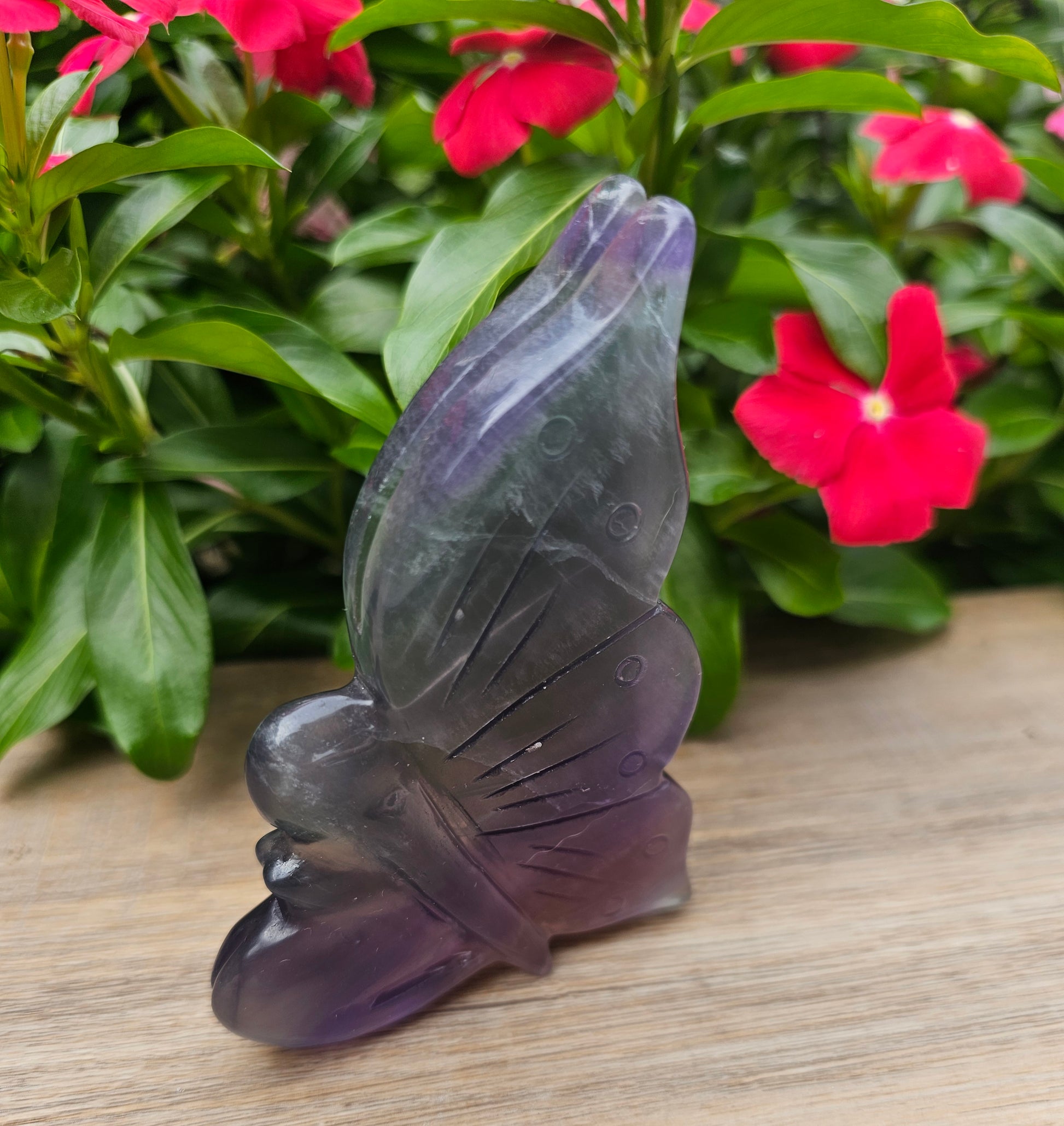Rainbow Fluorite Crystal Butterfly - 4 x 2.75 Inch Healing Crystal