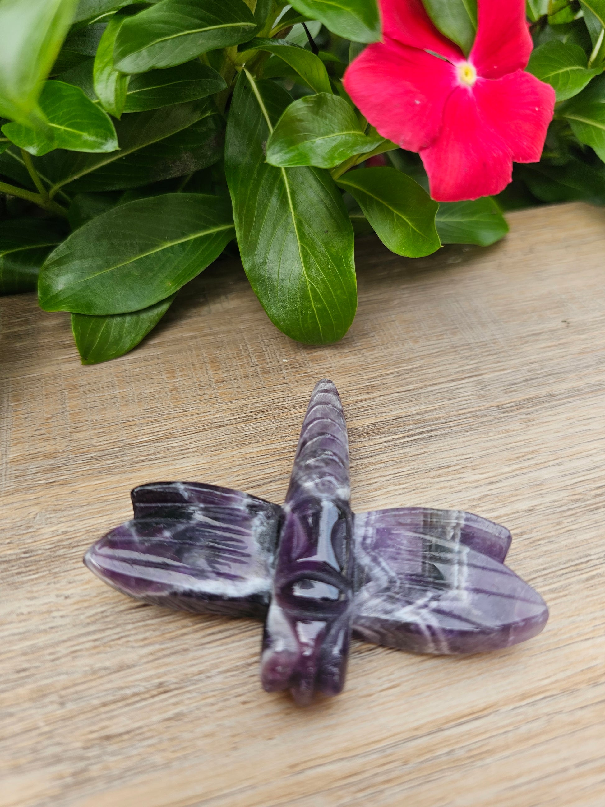 Amethyst Crystal Dragonfly - 3.25 x 2.5 Inch Healing Crystal Figurine