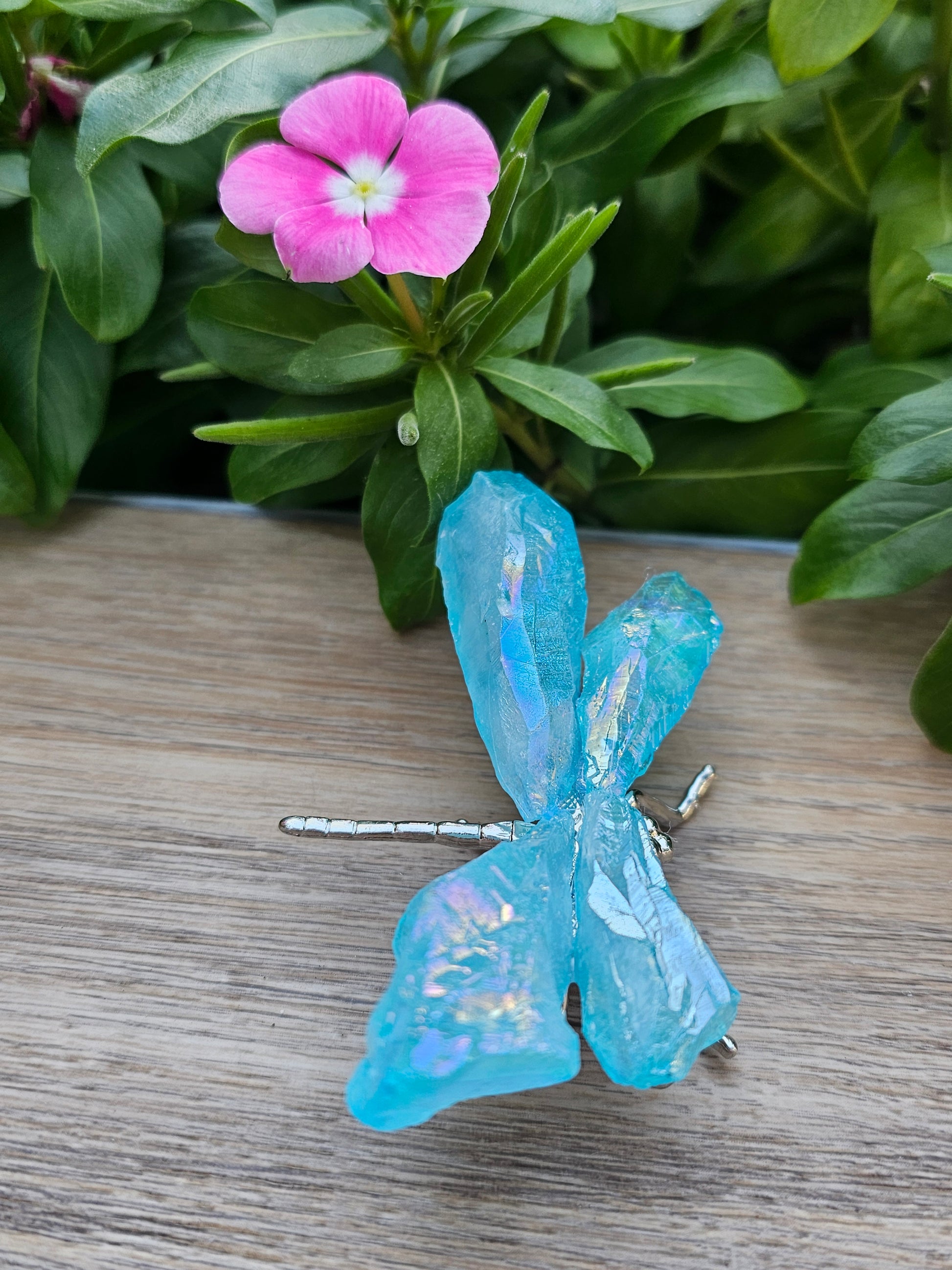 Aqua Aura Crystal Dragonfly