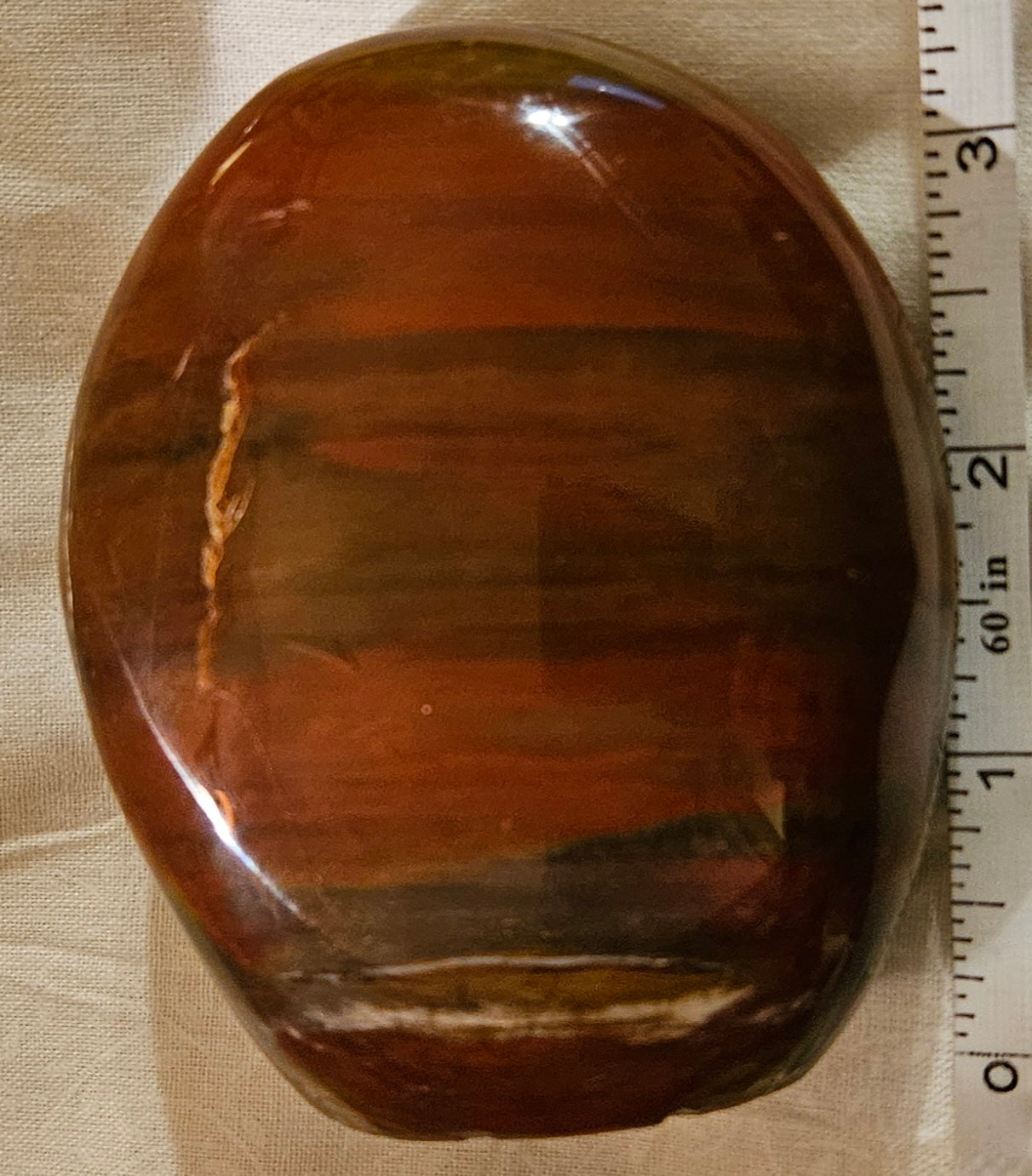 Petrified Wood Crystal Free Form 3.5 Inch