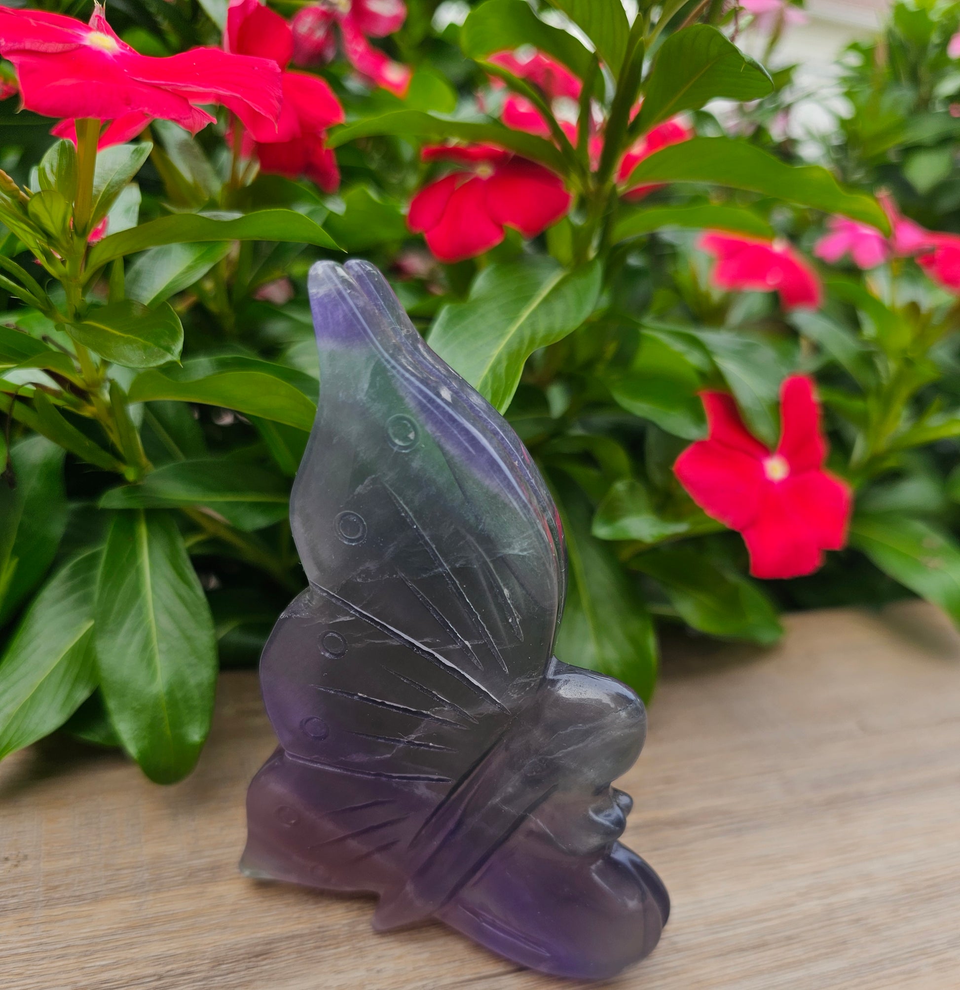 Rainbow Fluorite Crystal Butterfly - 4 x 2.75 Inch Healing Crystal