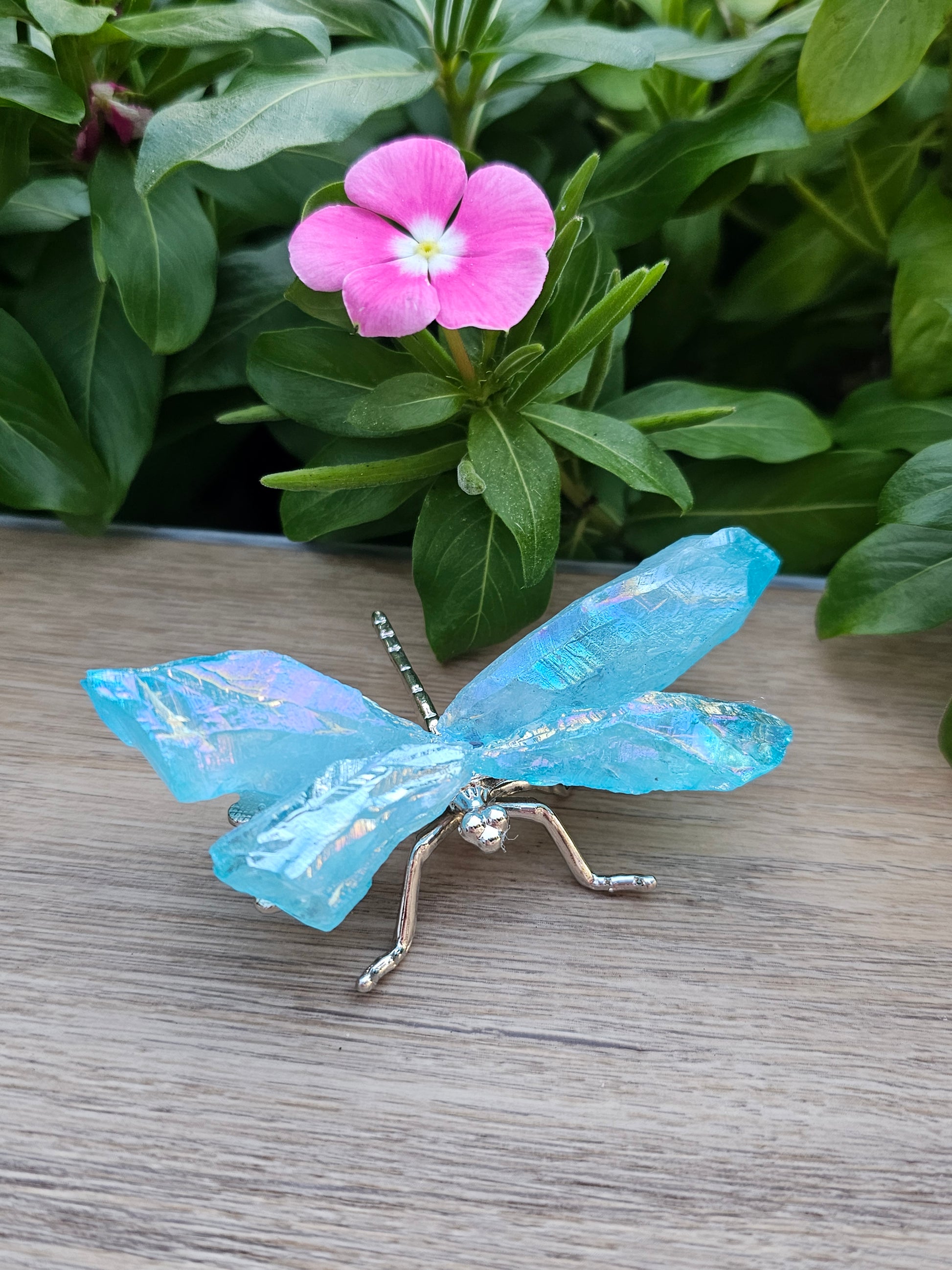 Aqua Aura Crystal Dragonfly