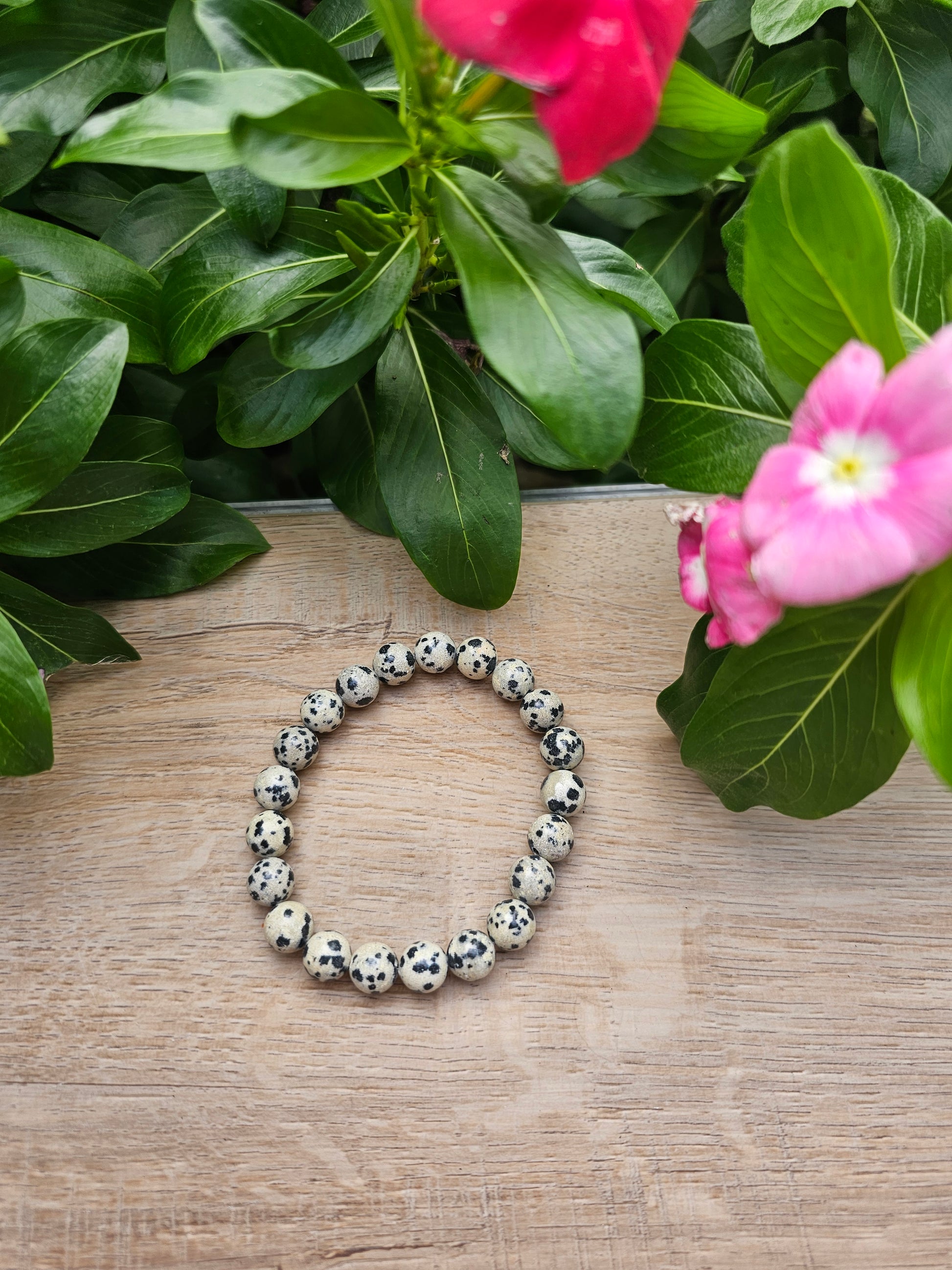 Dalmatian Jasper Crystal Bracelet - 8mm