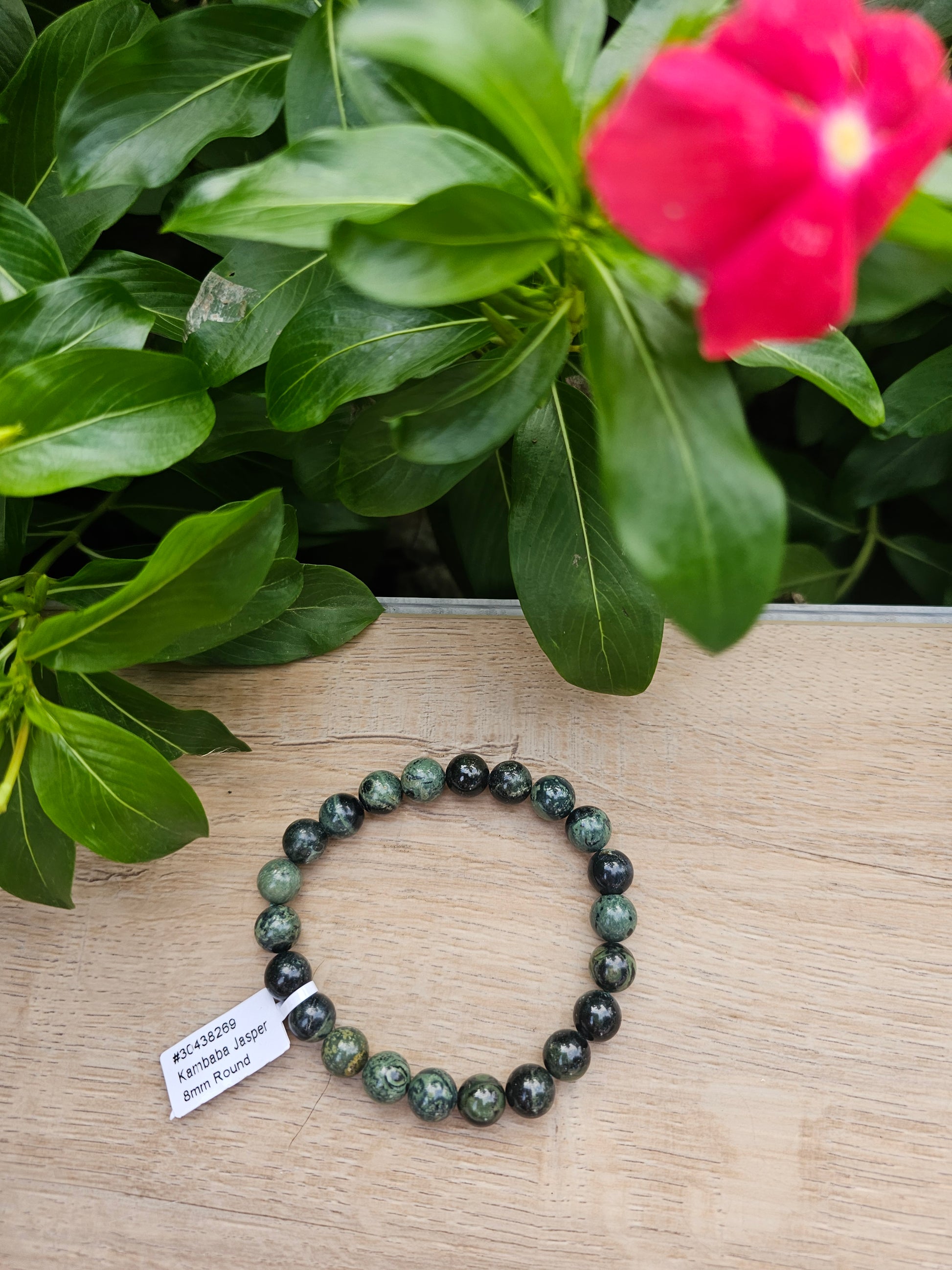 Kambaba Jasper Crystal Bracelet - 8mm Natural Stone Beads for Peace & Grounding