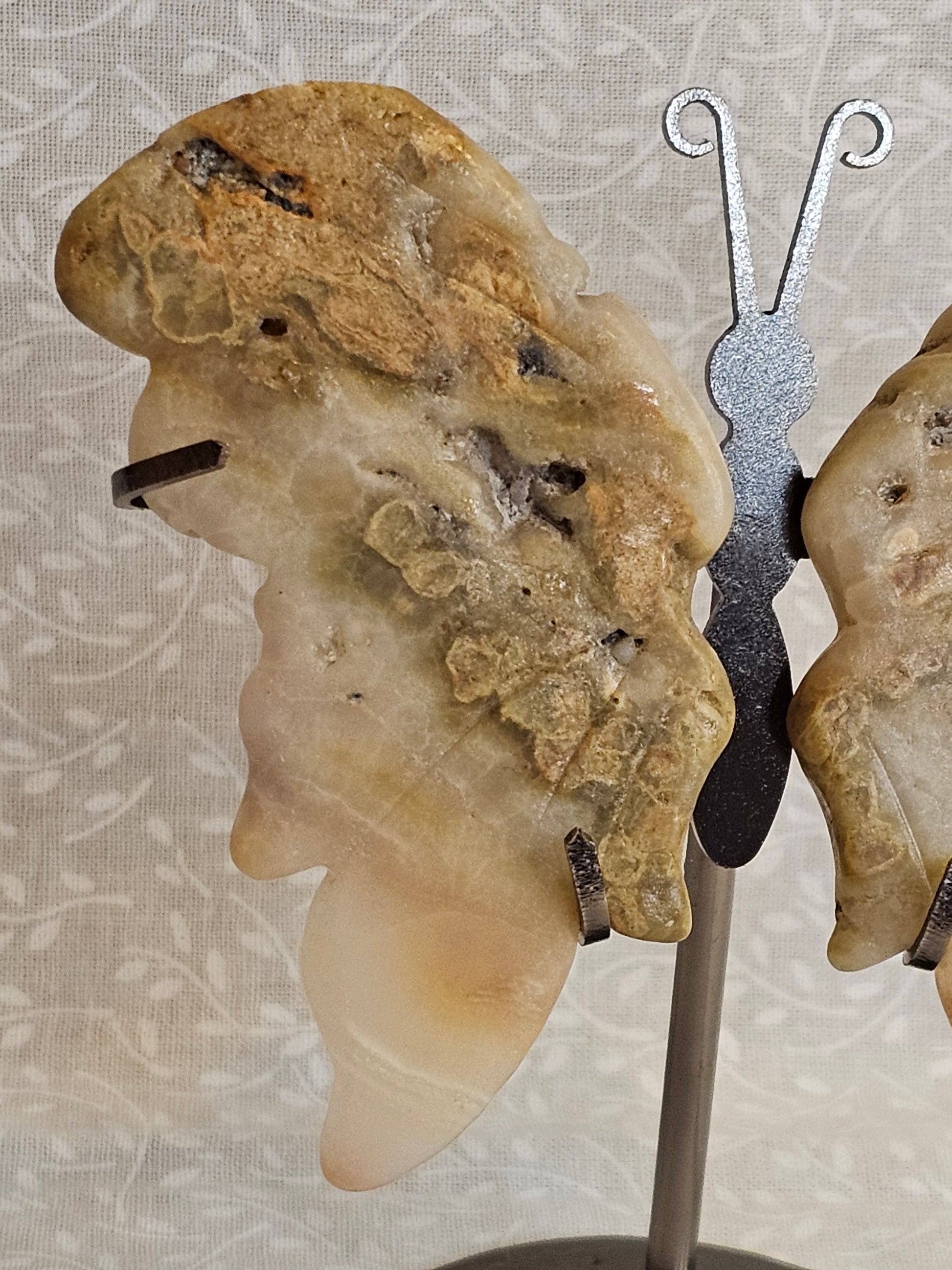 Flower Agate Crystal Butterfly Wings with Stand - 5 Inch Natural Stone Decor