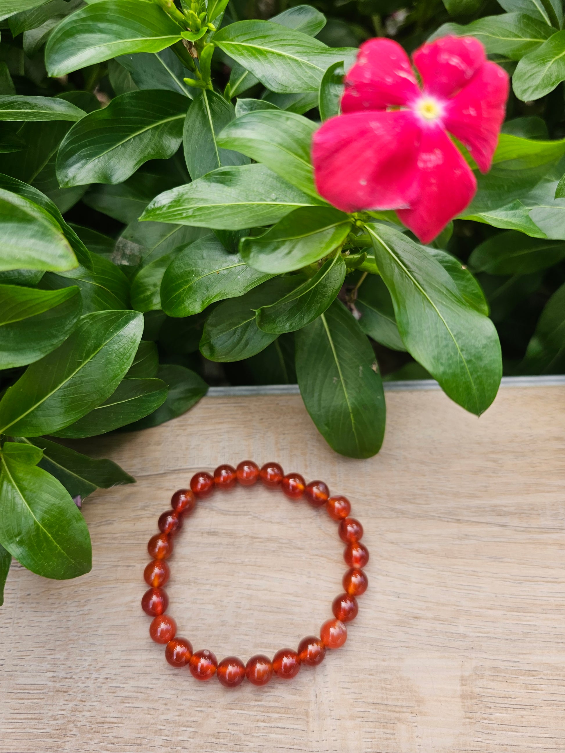 Red Agate Crystal Bracelet - 8mm Natural Stone Beads for Strength & Vitality