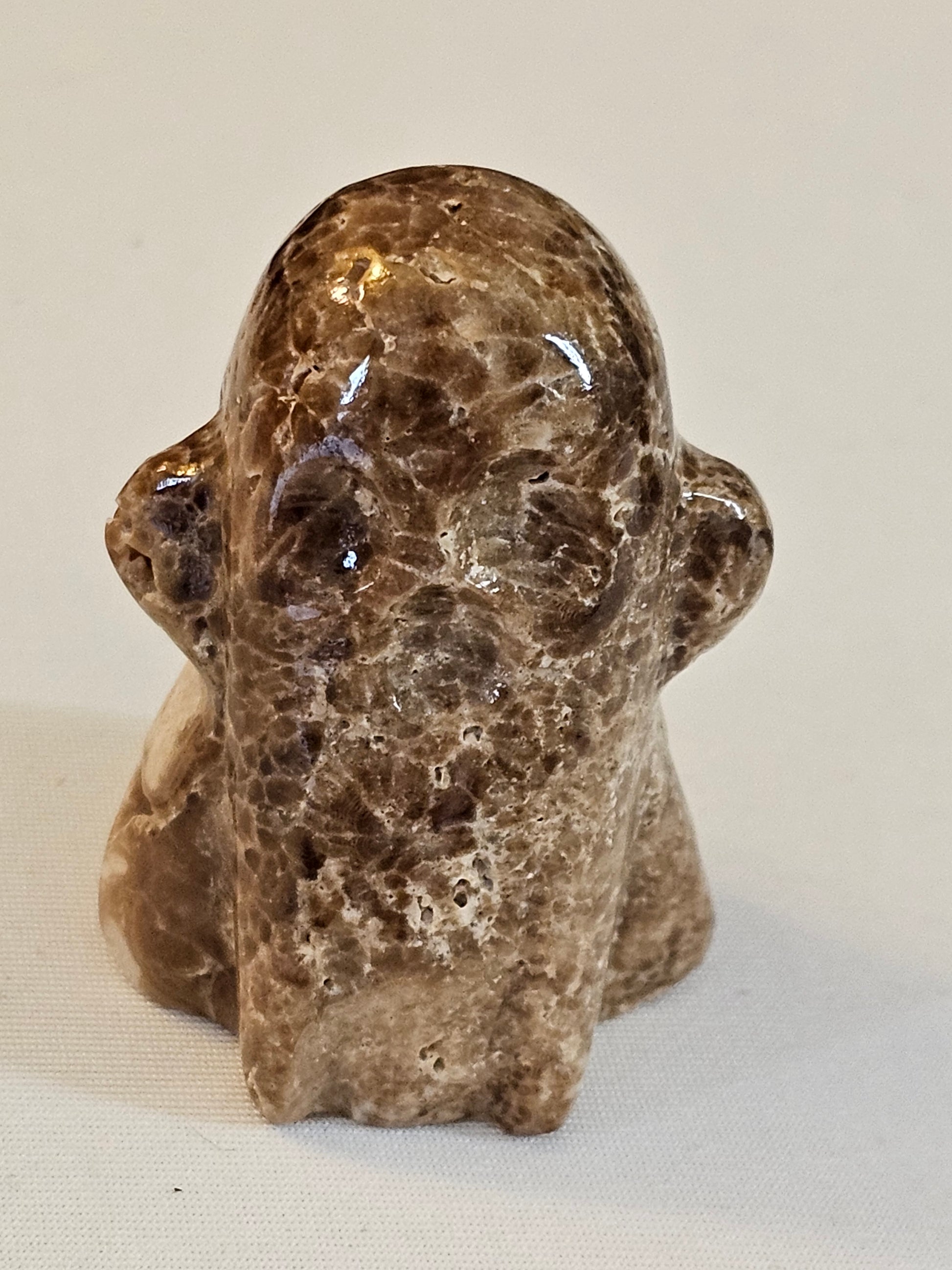 Chocolate Calcite Crystal Ghost 2 Inch