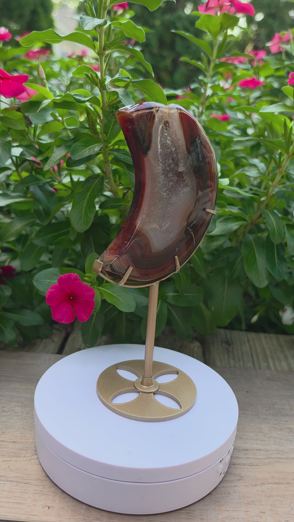 Sardonyx Crystal Crescent Moon on Stand with Druzy