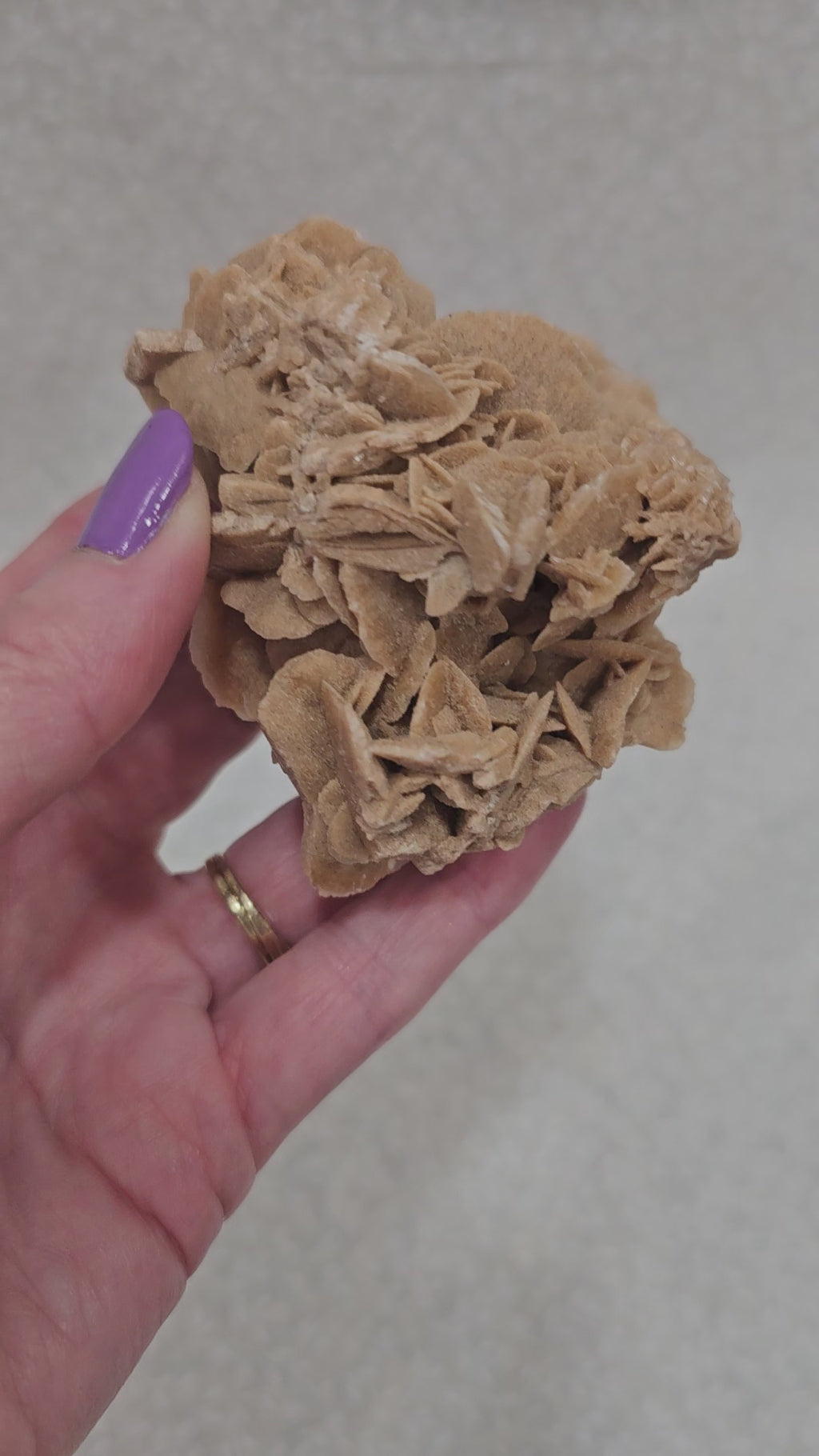 Gypsum Desert Rose Raw Crystal Cluster