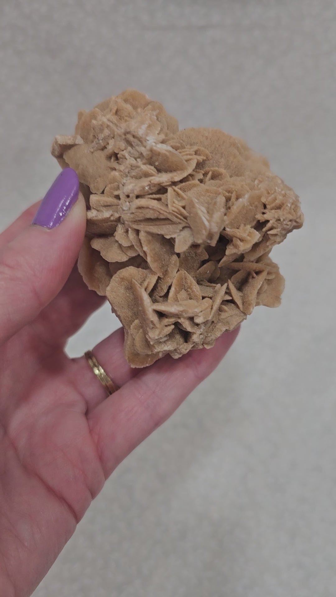 Gypsum Desert Rose Raw Crystal Cluster