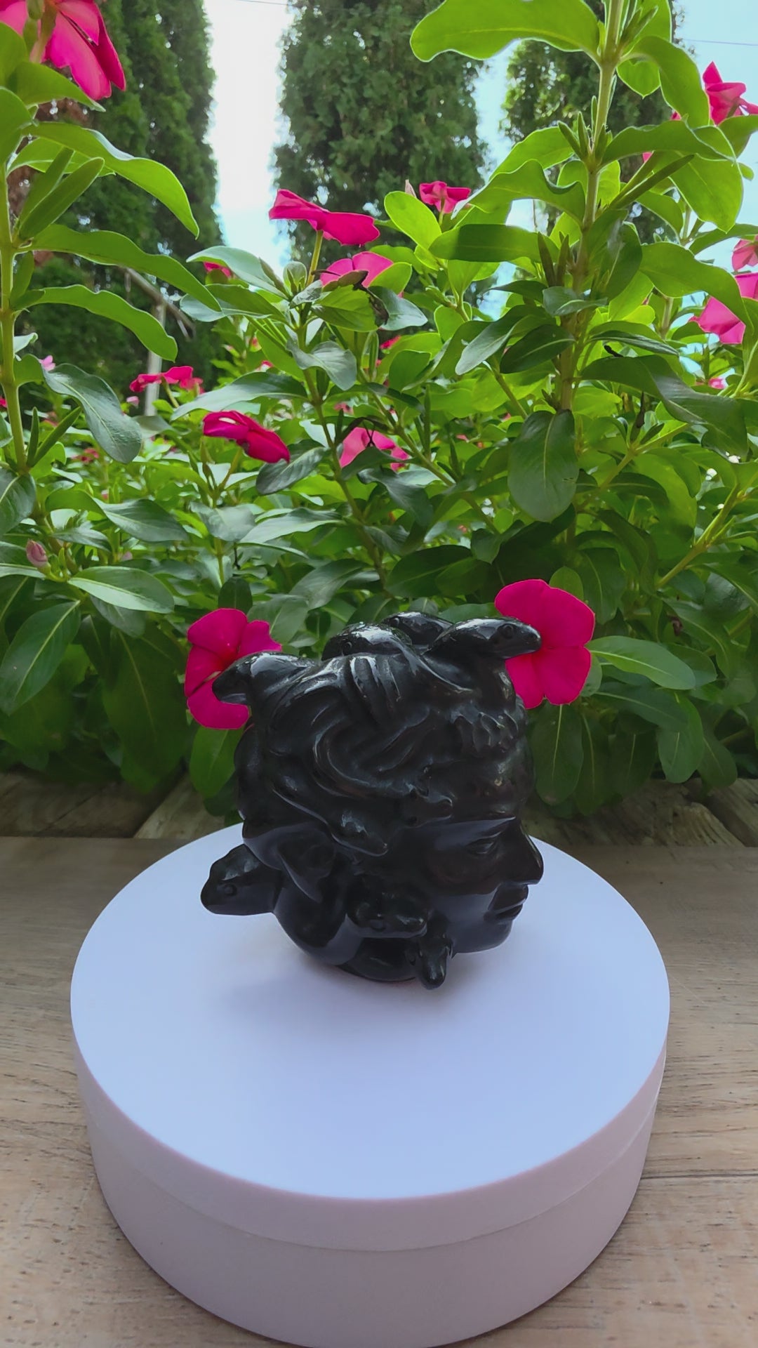 Black Obsidian Crystal Medusa