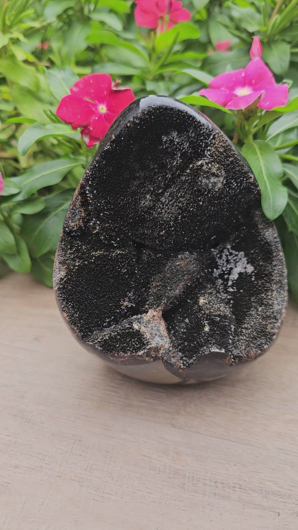 Septarian with Calcite Crystal Dragon Egg - 5.1" Polished Stone