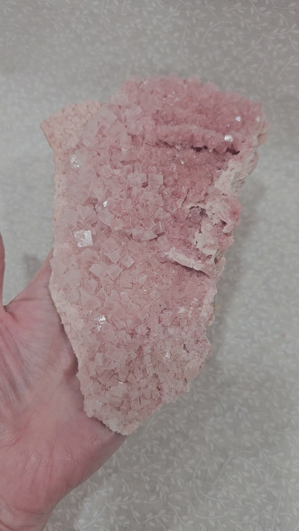Pink Halite Raw Crystal Cluster