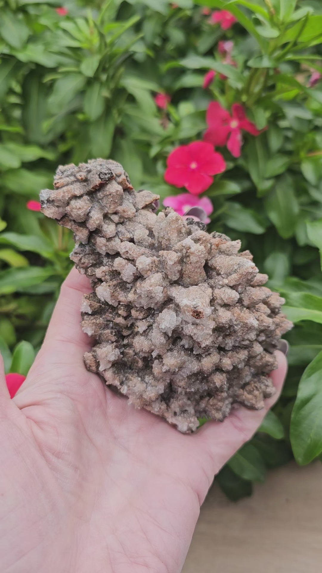 Dog Tooth Calcite with Selenite Raw Crystal Cluster - 4.5" Specimen