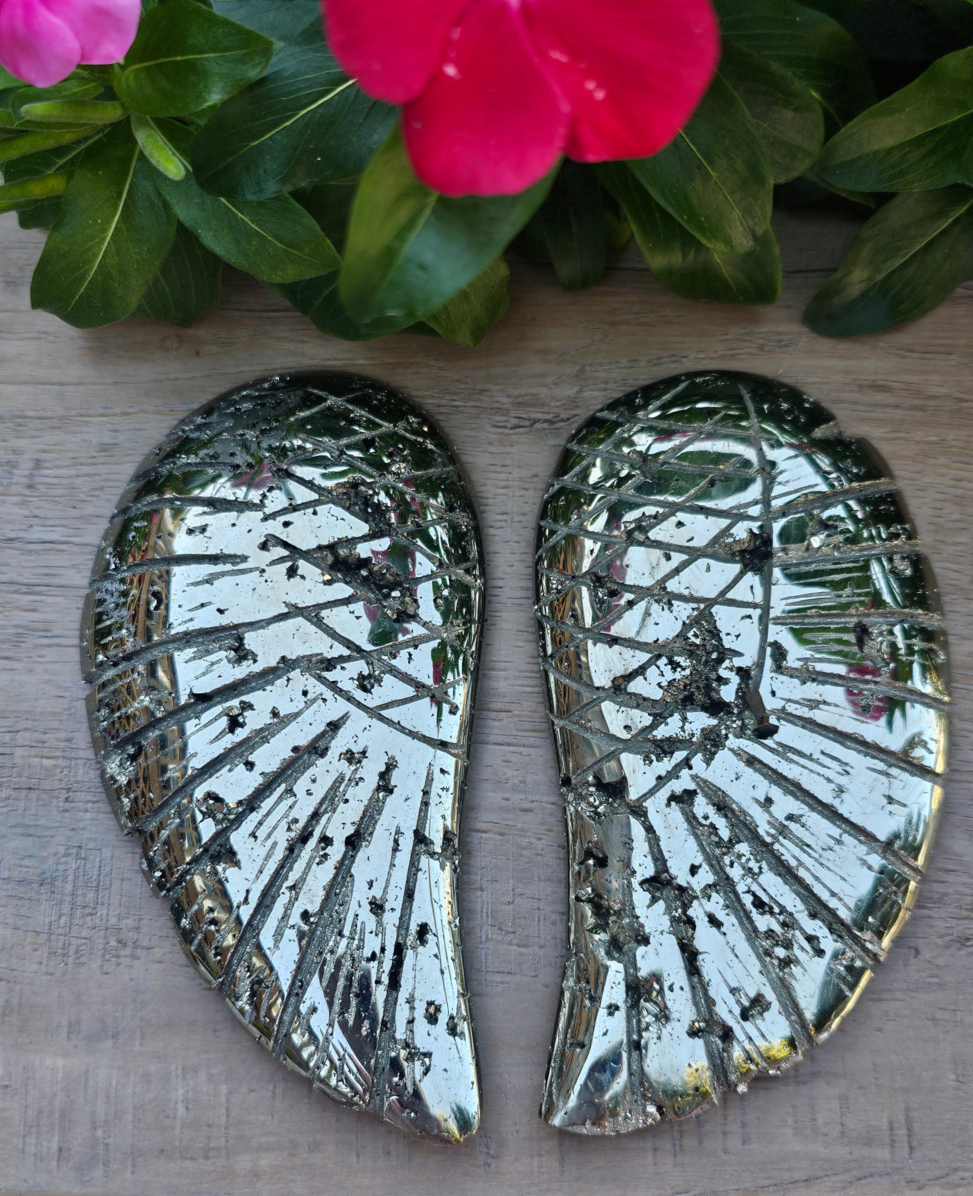 Pyrite Angel Wings 6 Inch - Natural Fool's Gold Crystal Wings Carving