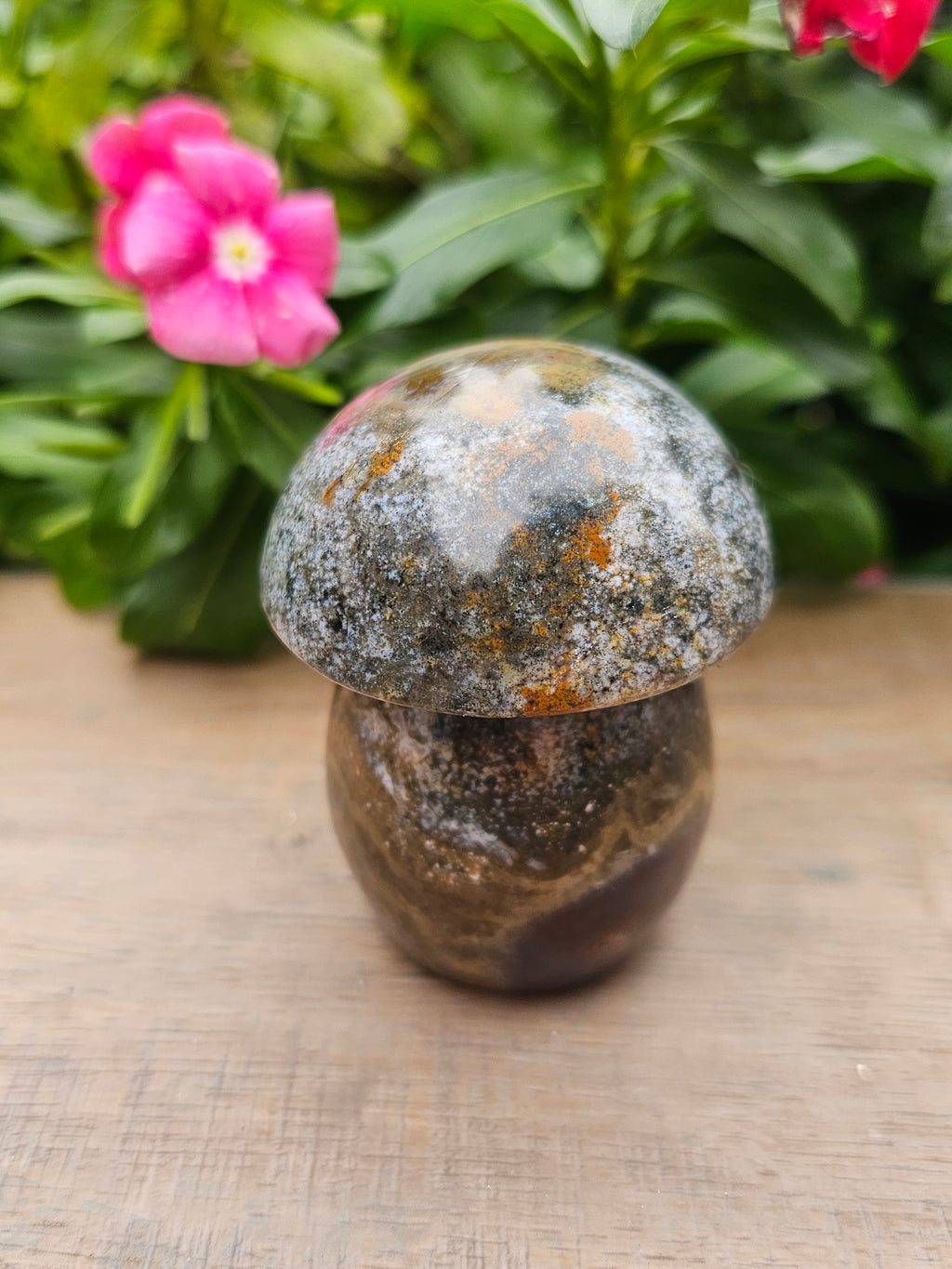Ocean Jasper Crystal Mushroom - 2.7" Tall Natural Stone Carving