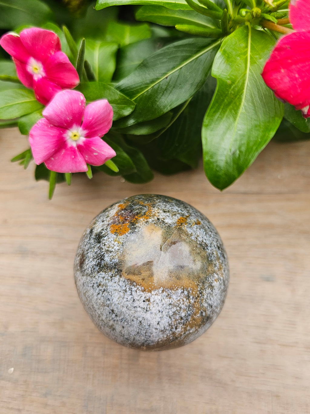 Ocean Jasper Crystal Mushroom - 2.7" Tall Natural Stone Carving