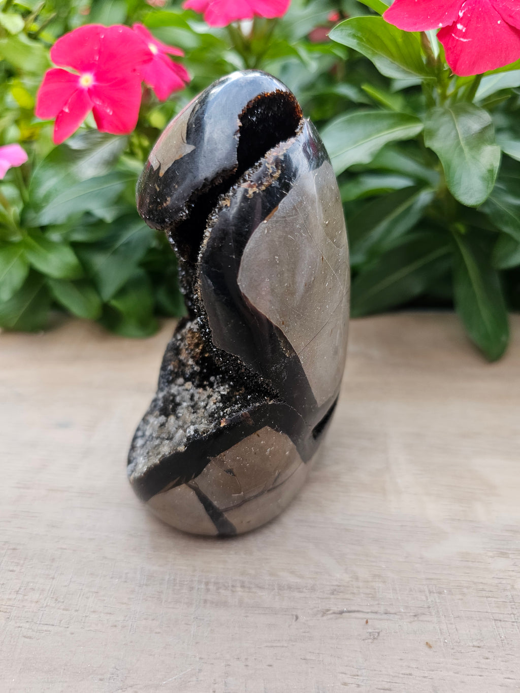 Septarian Dragon Egg - Natural Polished Stone 5" Tall