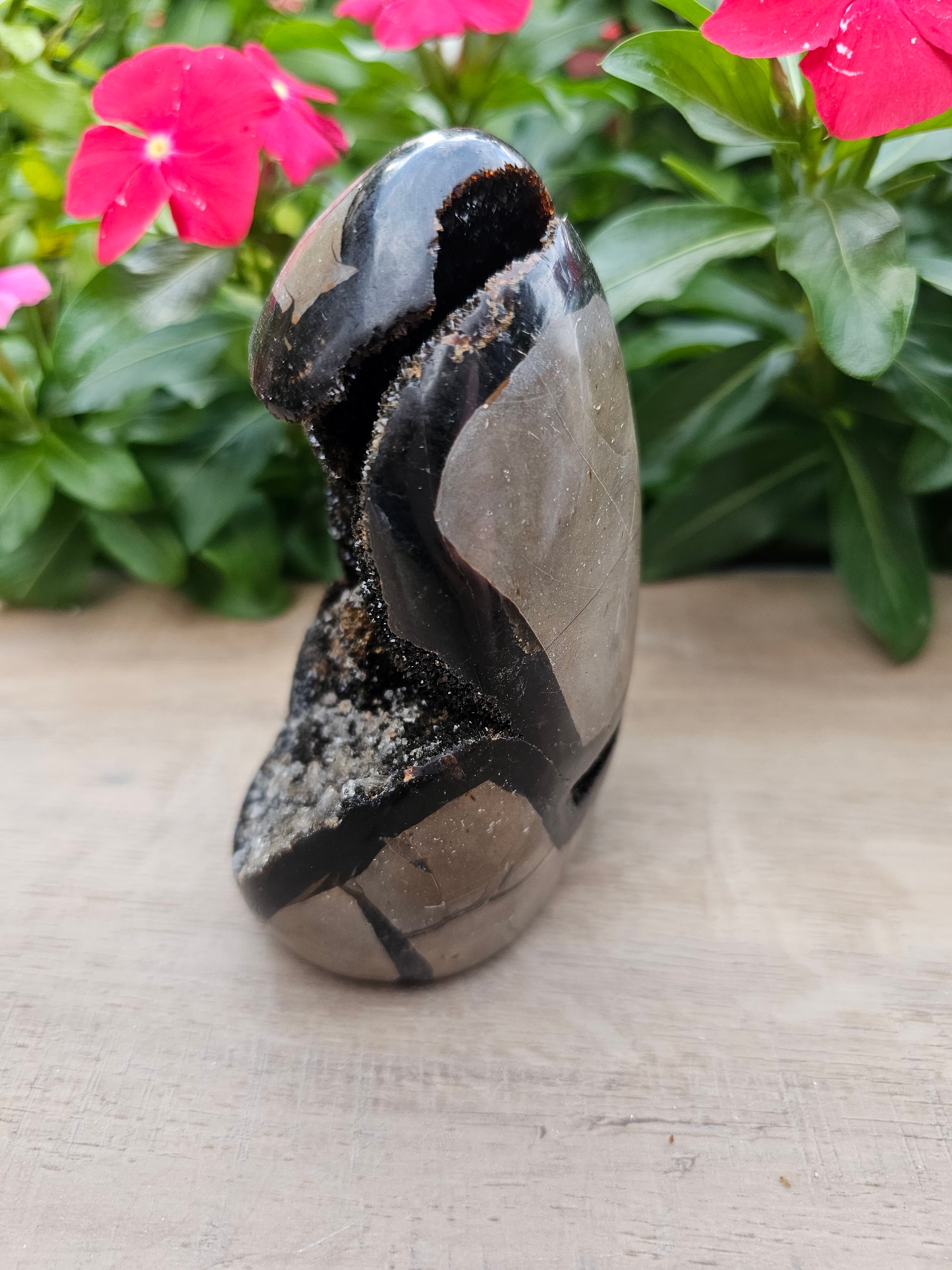 Septarian Dragon Egg - Natural Polished Stone 5" Tall