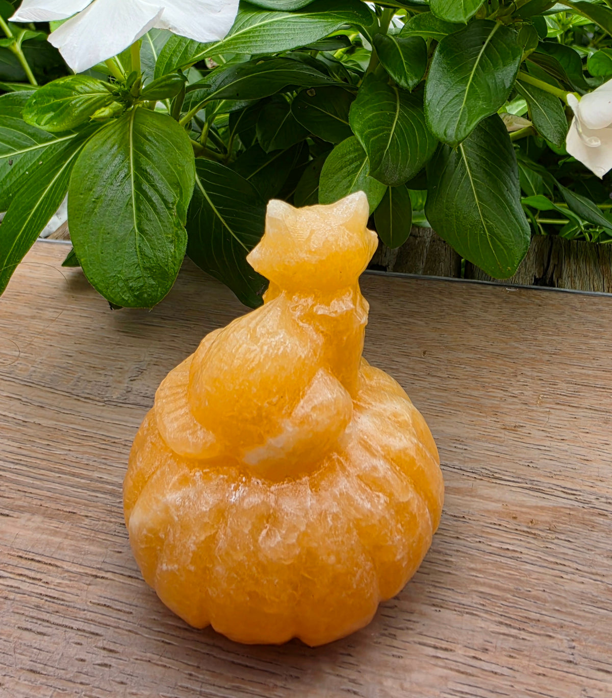 Orange Calcite Crystal Pumpkin with Cat