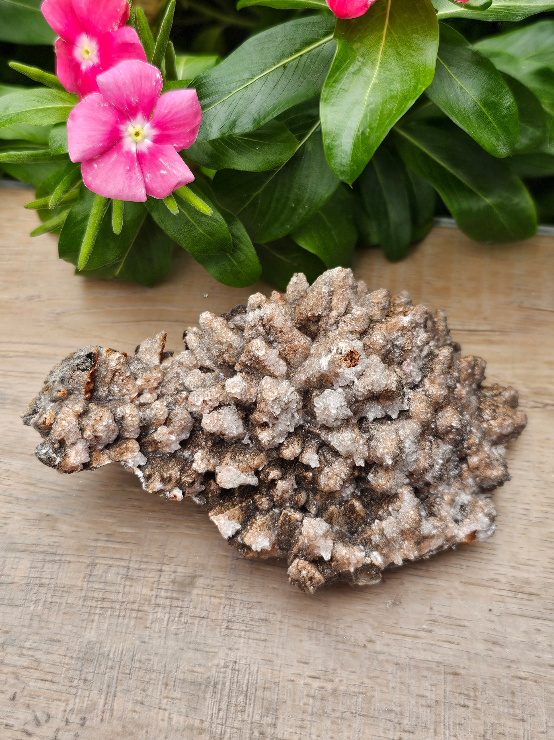 Dog Tooth Calcite with Selenite Raw Crystal Cluster - 4.5" Specimen