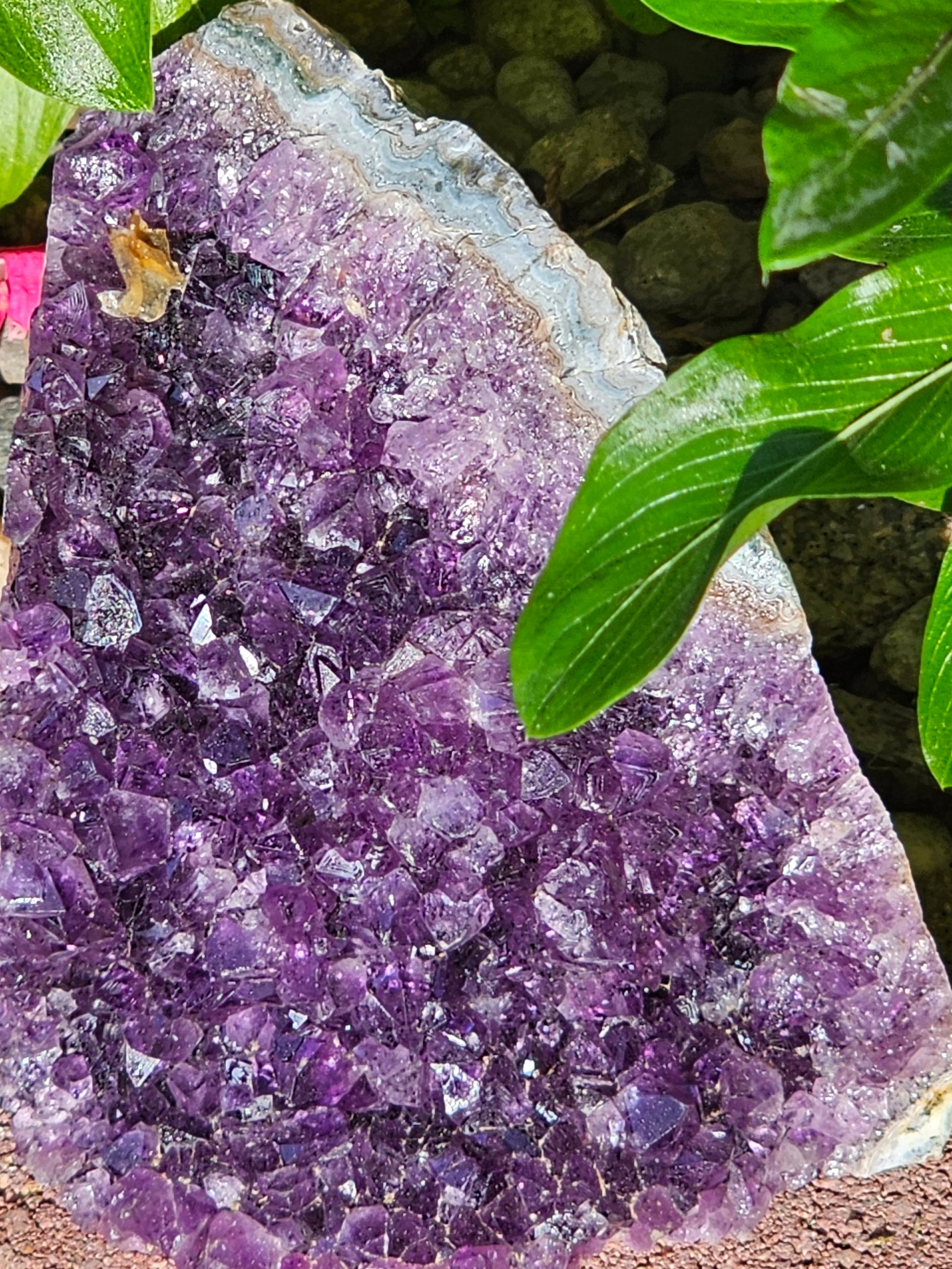 Amethyst Raw Crystal Cut Base