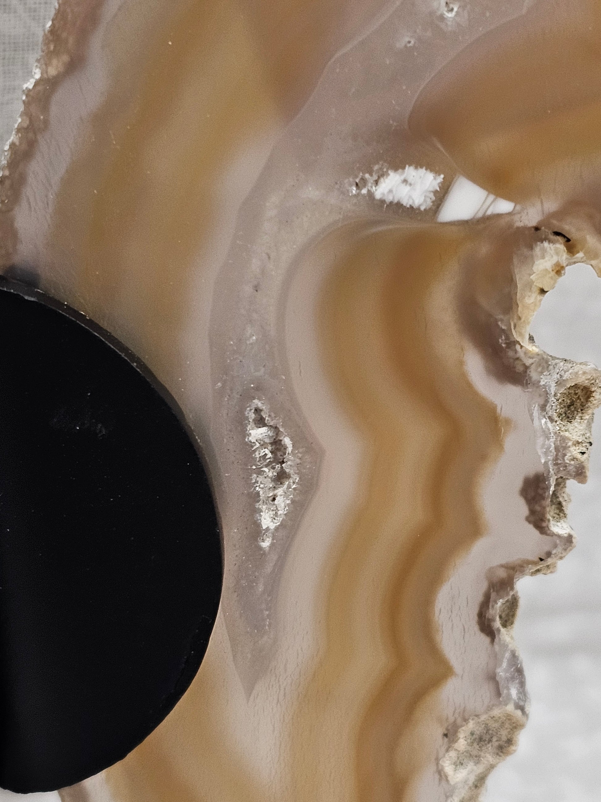 Agate Crystal Butterfly Wings on Stand