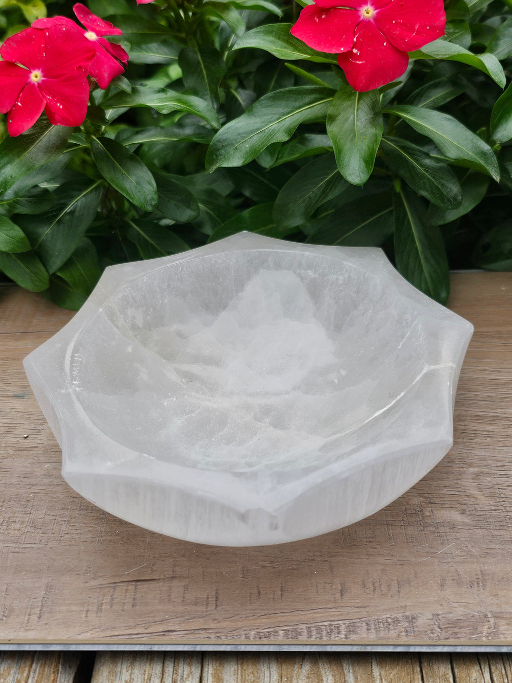 Natural Selenite Crystal Bowl 5" - White Cleansing Charging Bowl