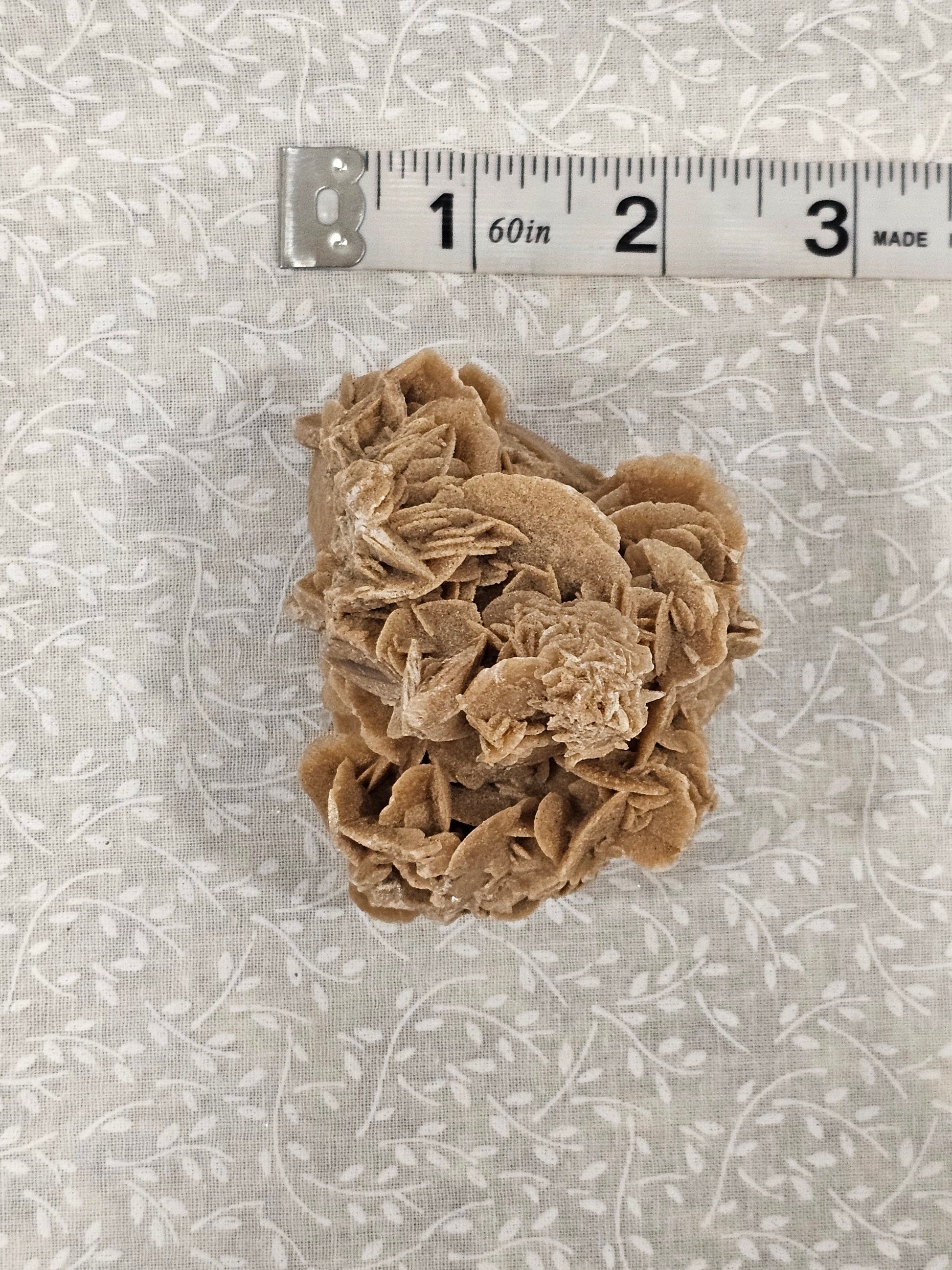 Gypsum Desert Rose Raw Crystal Cluster