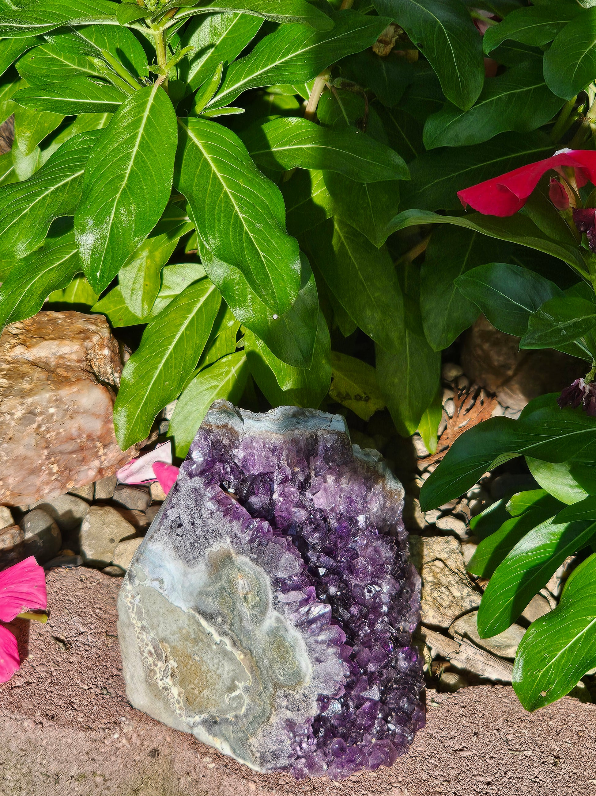 Amethyst Raw Crystal Cut Base