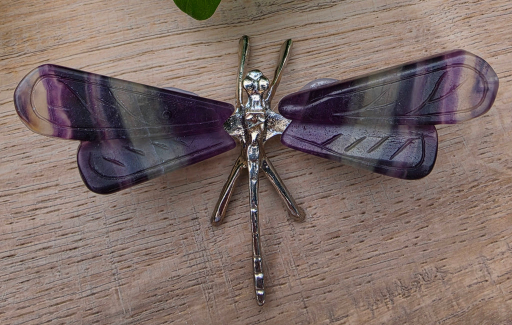 Rainbow Fluorite Crystal Dragonfly