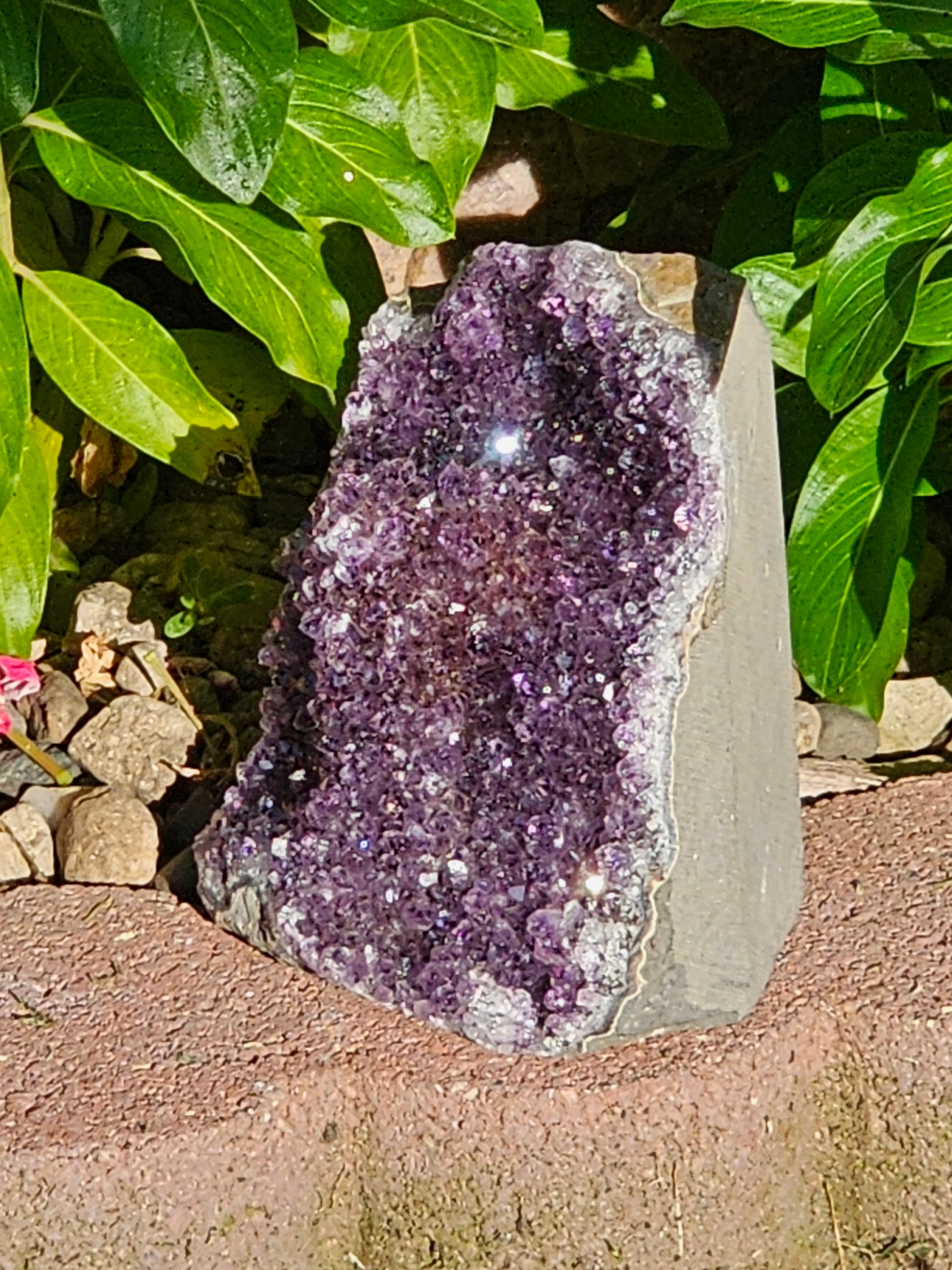 Amethyst Raw Crystal Cut Base