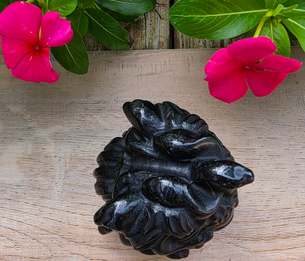 Black Obsidian Crystal Medusa