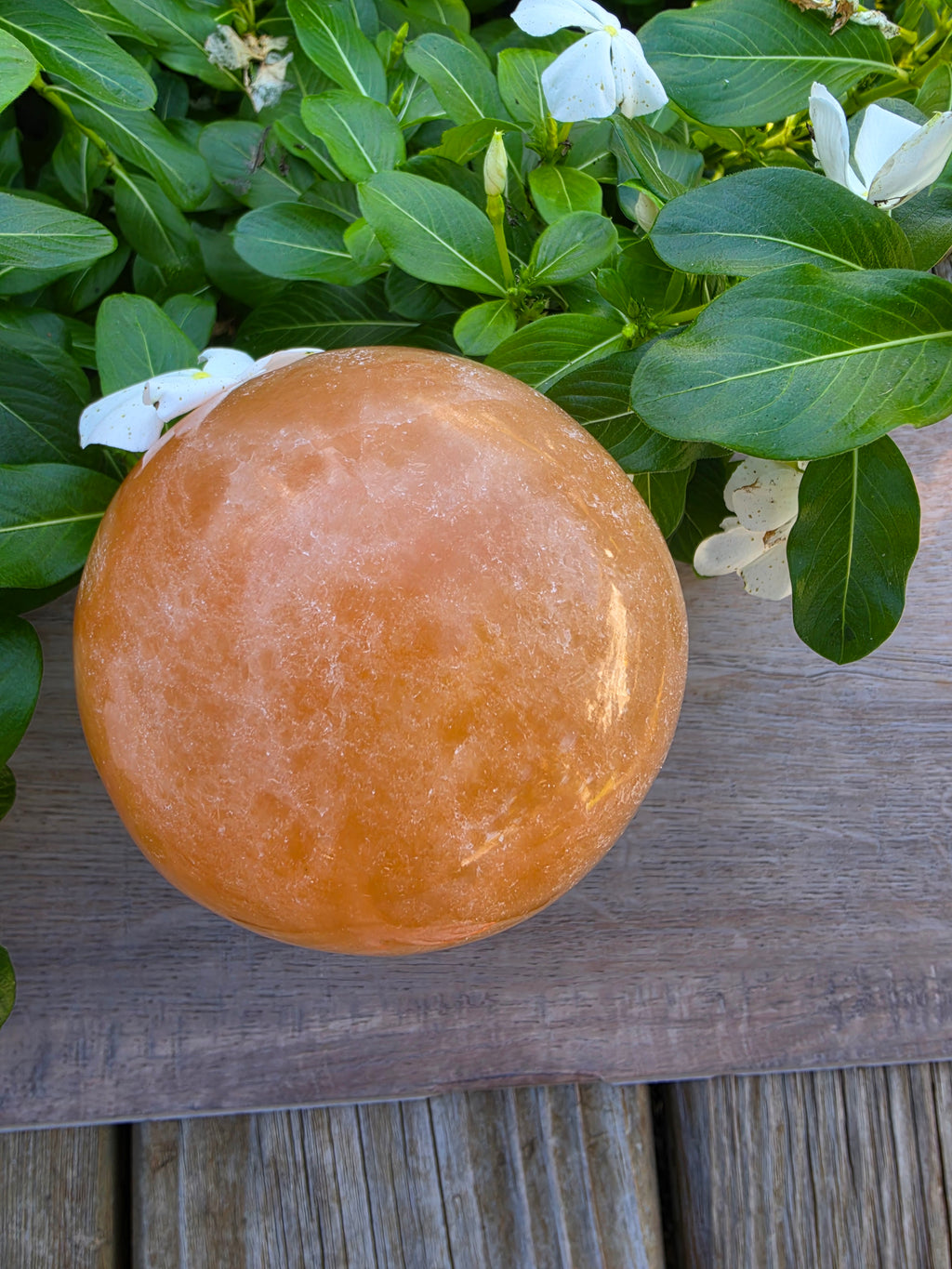 Orange & White Selenite Crystal Mushroom with Multicolor Light Stand