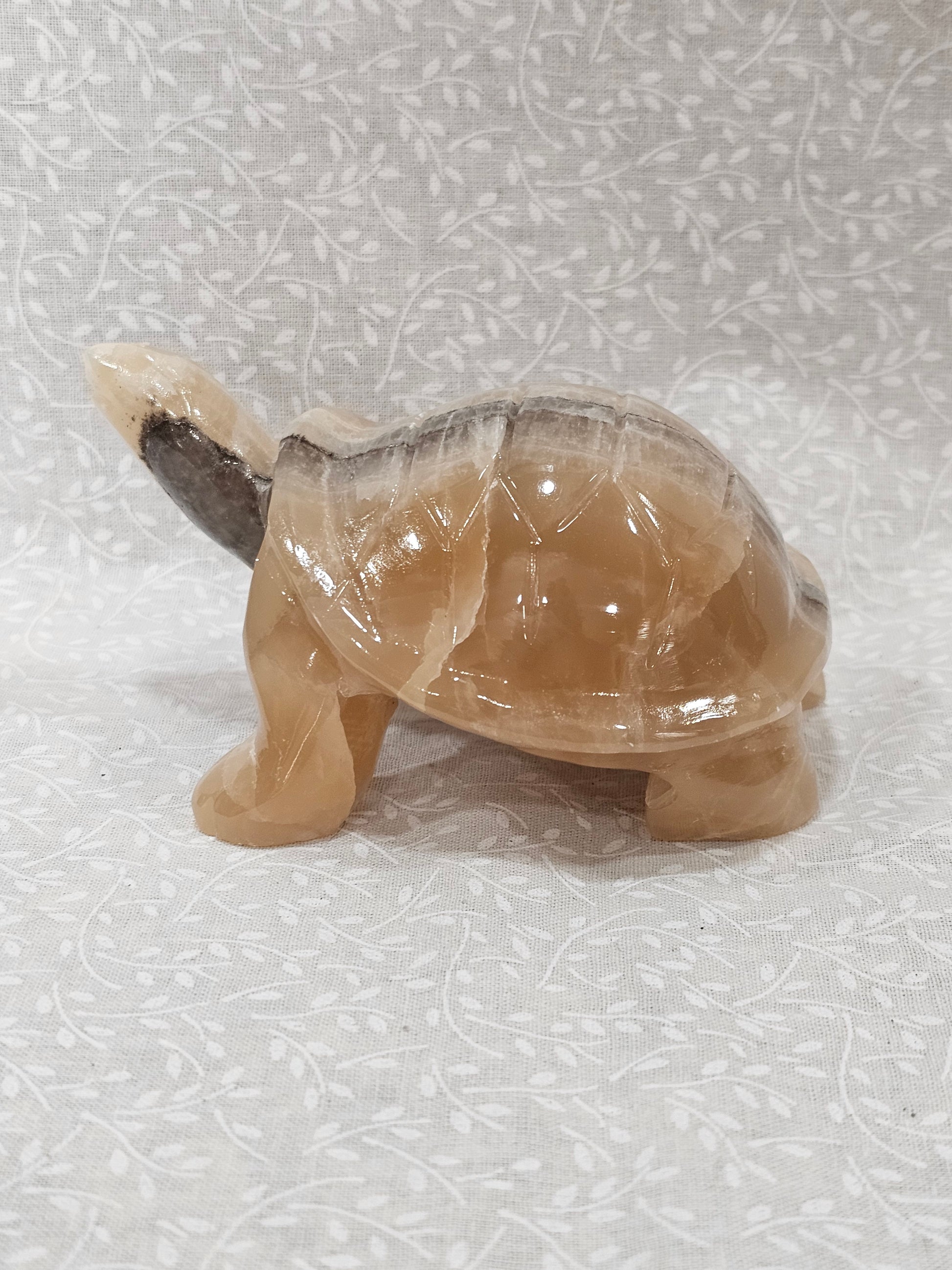Honey Calcite Crystal Turtle 5 Inch