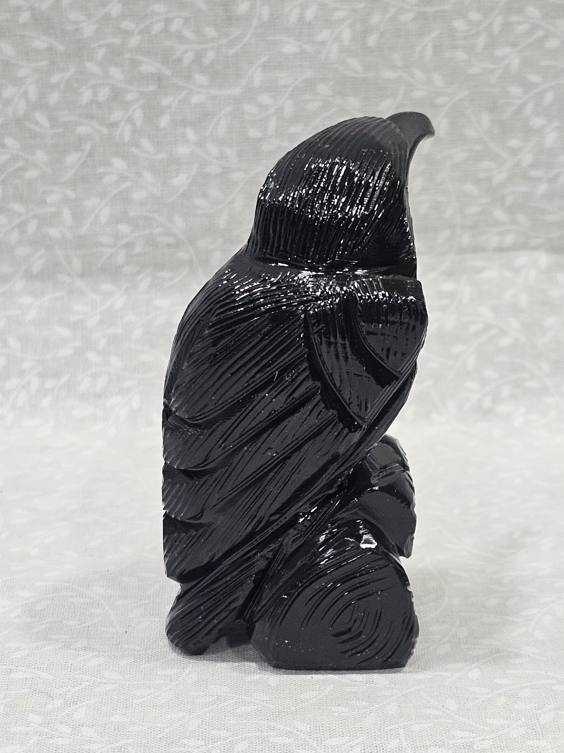 Black Onyx Crystal Raven