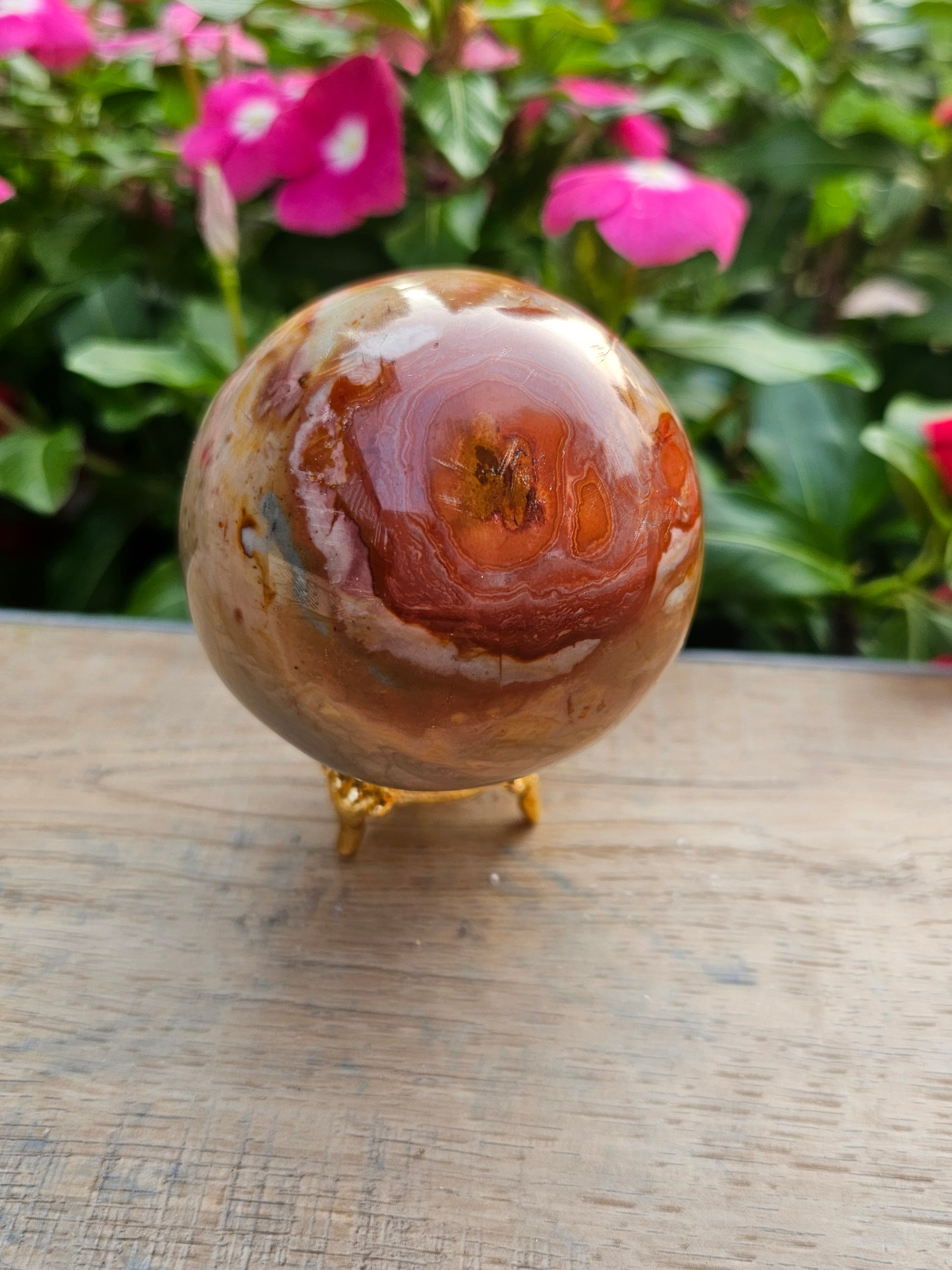 Petrified Wood Crystal Sphere