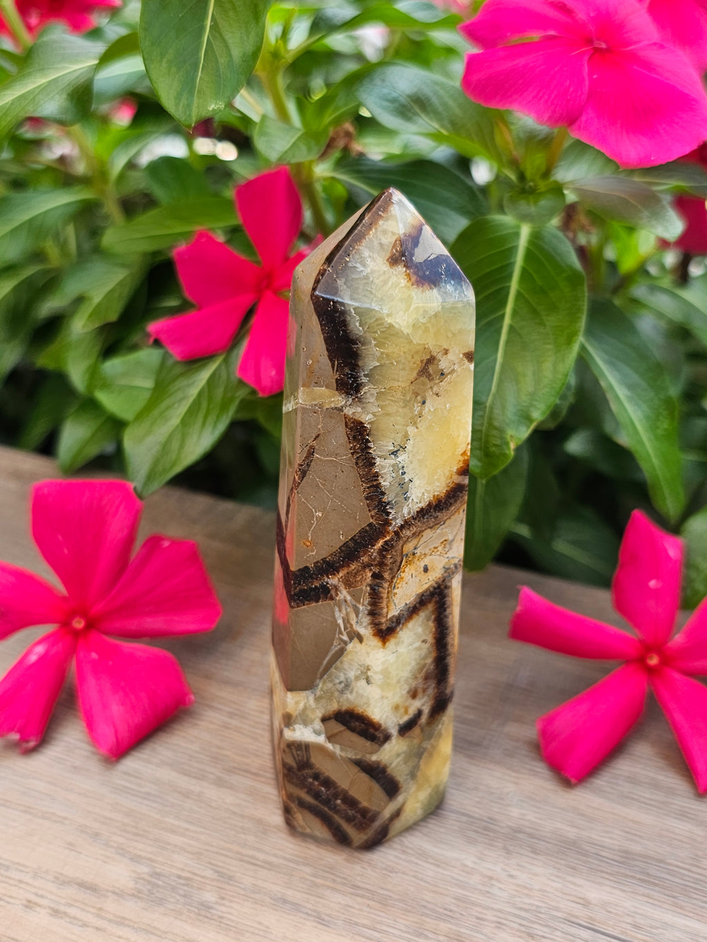 Septarian Crystal Tower Healing Stone Point