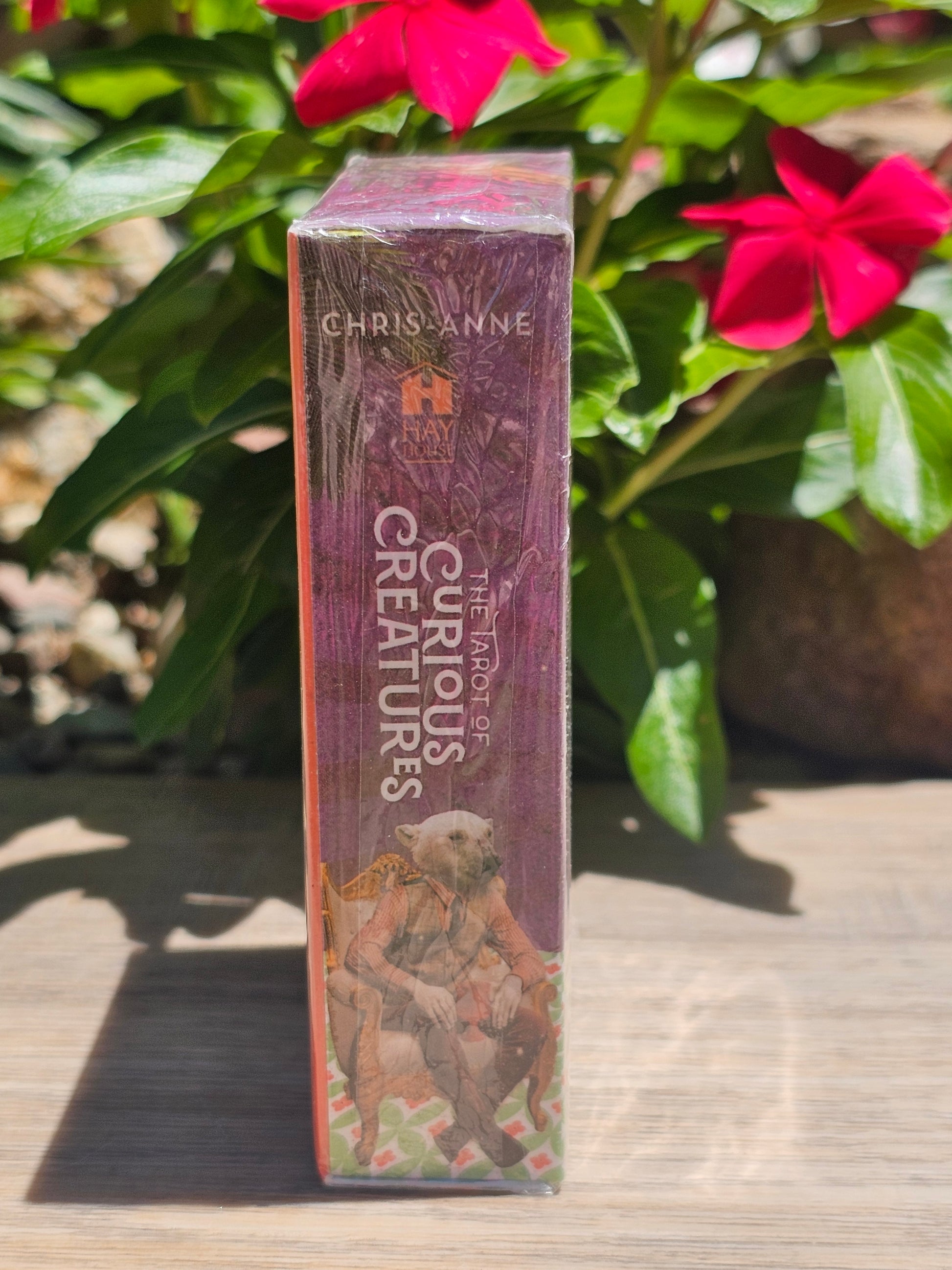 The Tarot Of Curious Creatures