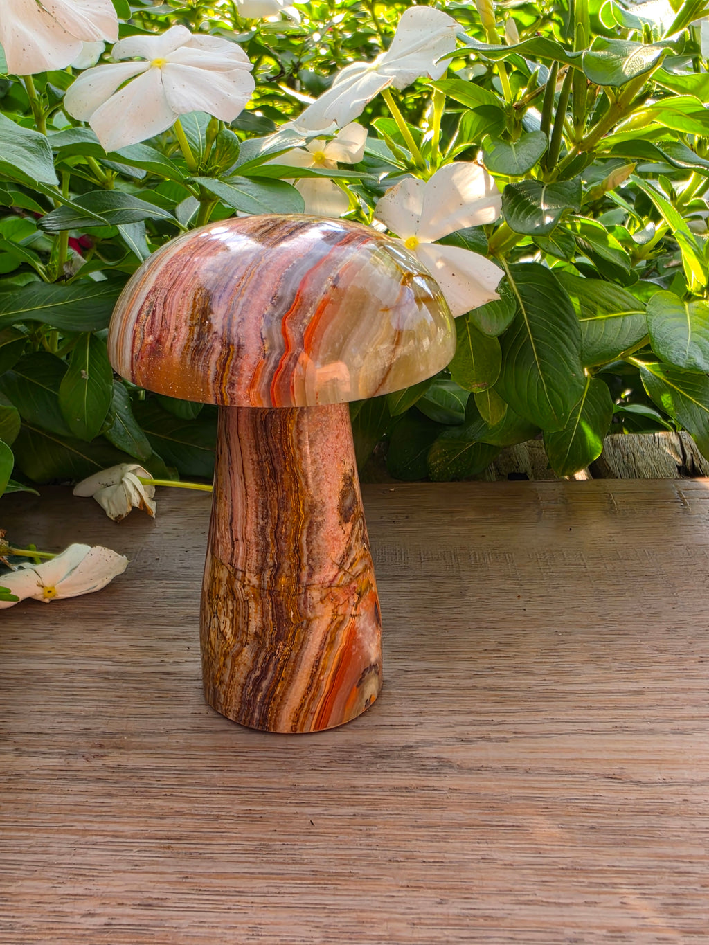 Onyx Crystal Mushroom