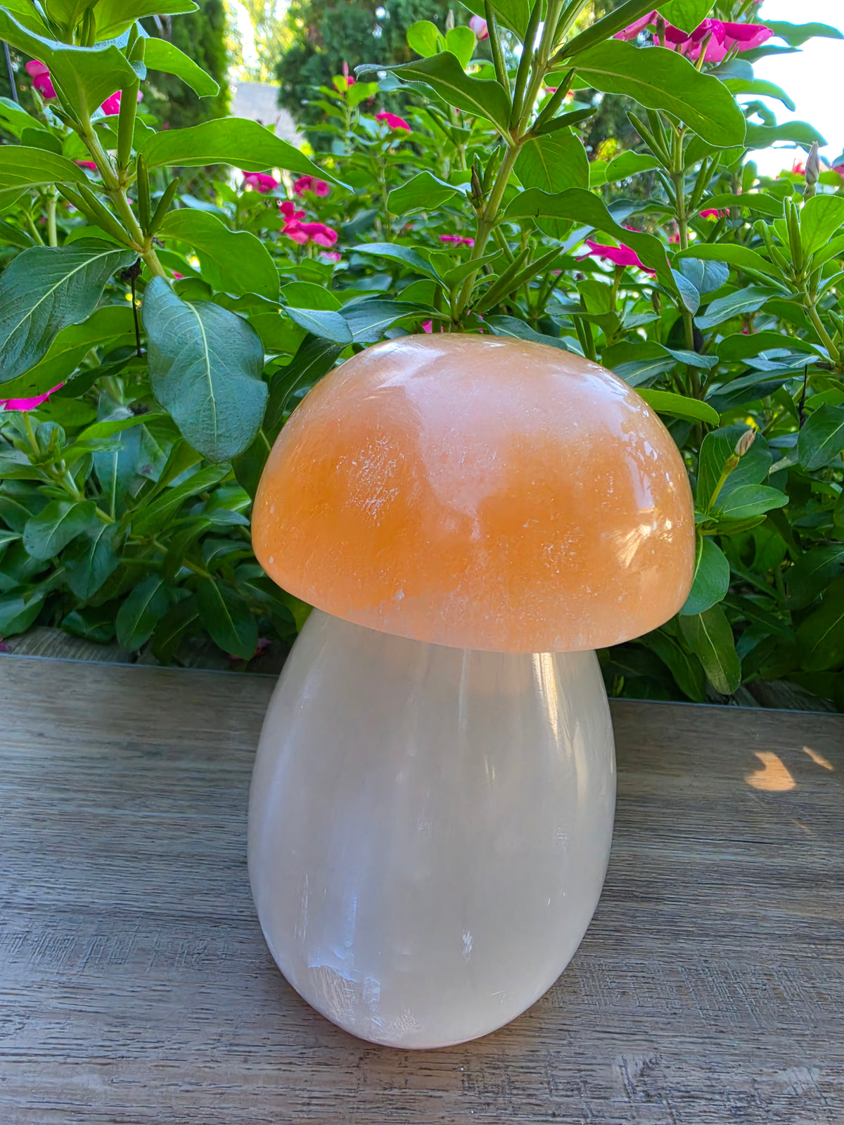 Orange & White Selenite Crystal Mushroom with Multicolor Light Stand