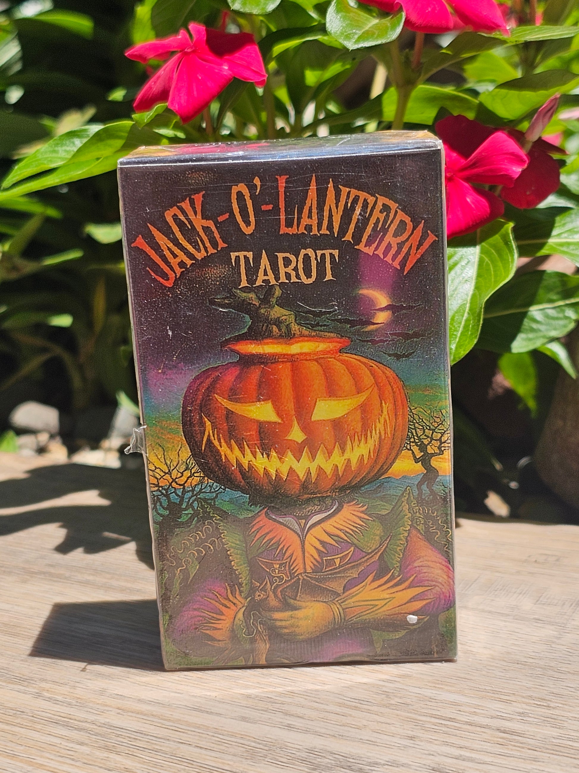 Jack-O-Lantern Tarot Cards