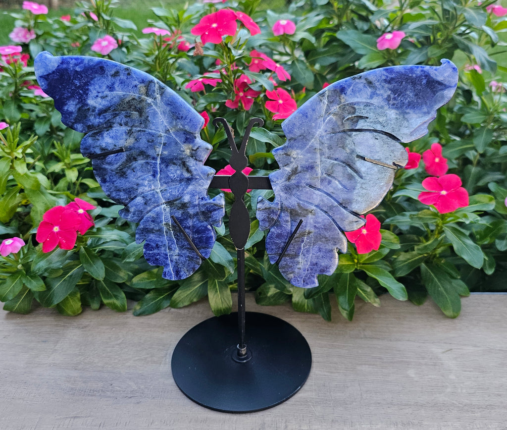 Sodalite Crystal Butterfly Wings with Stand -  Display