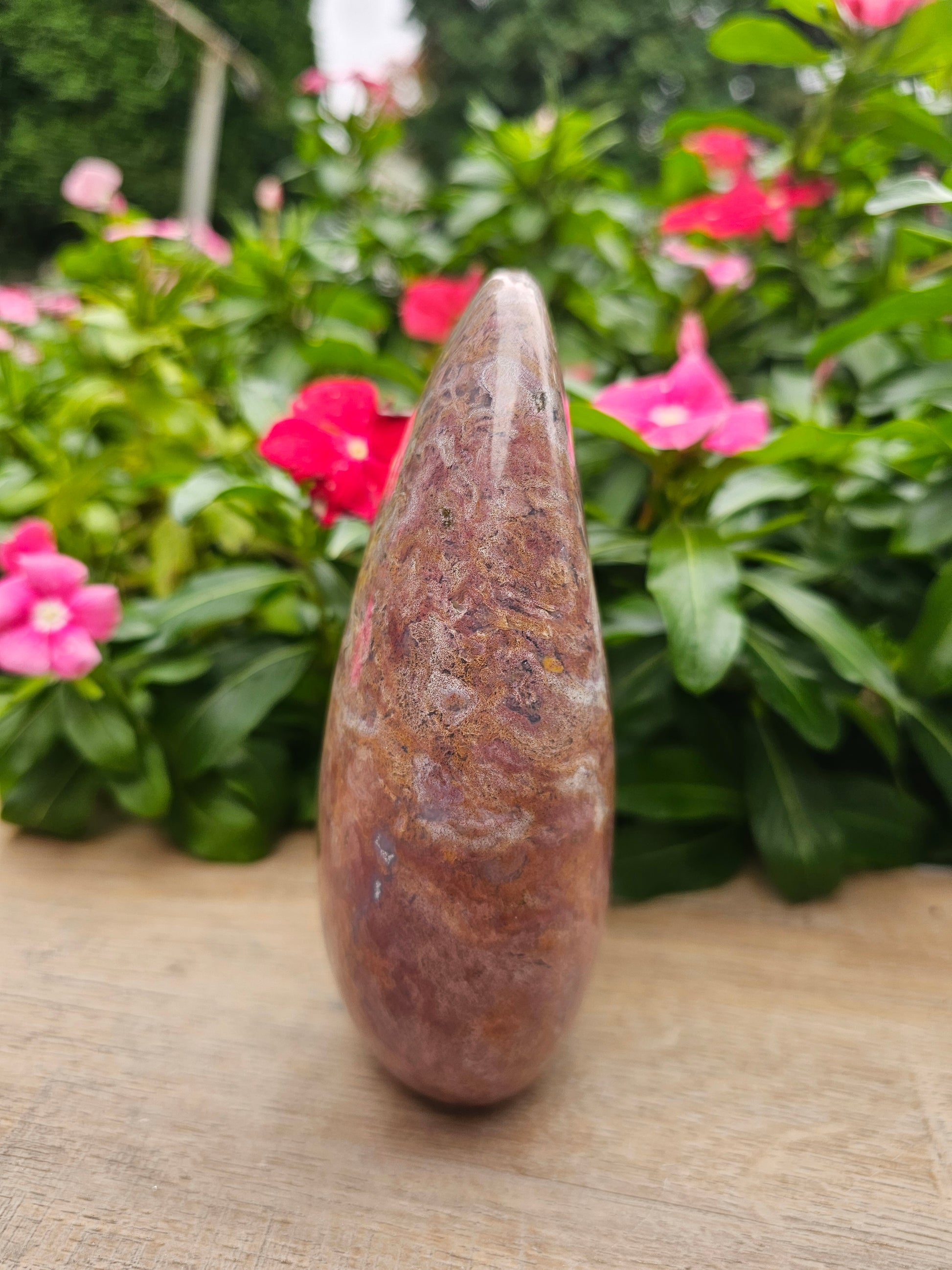 Ocean Jasper Crystal Freeform 6.5" x 4" - Natural Healing Stone