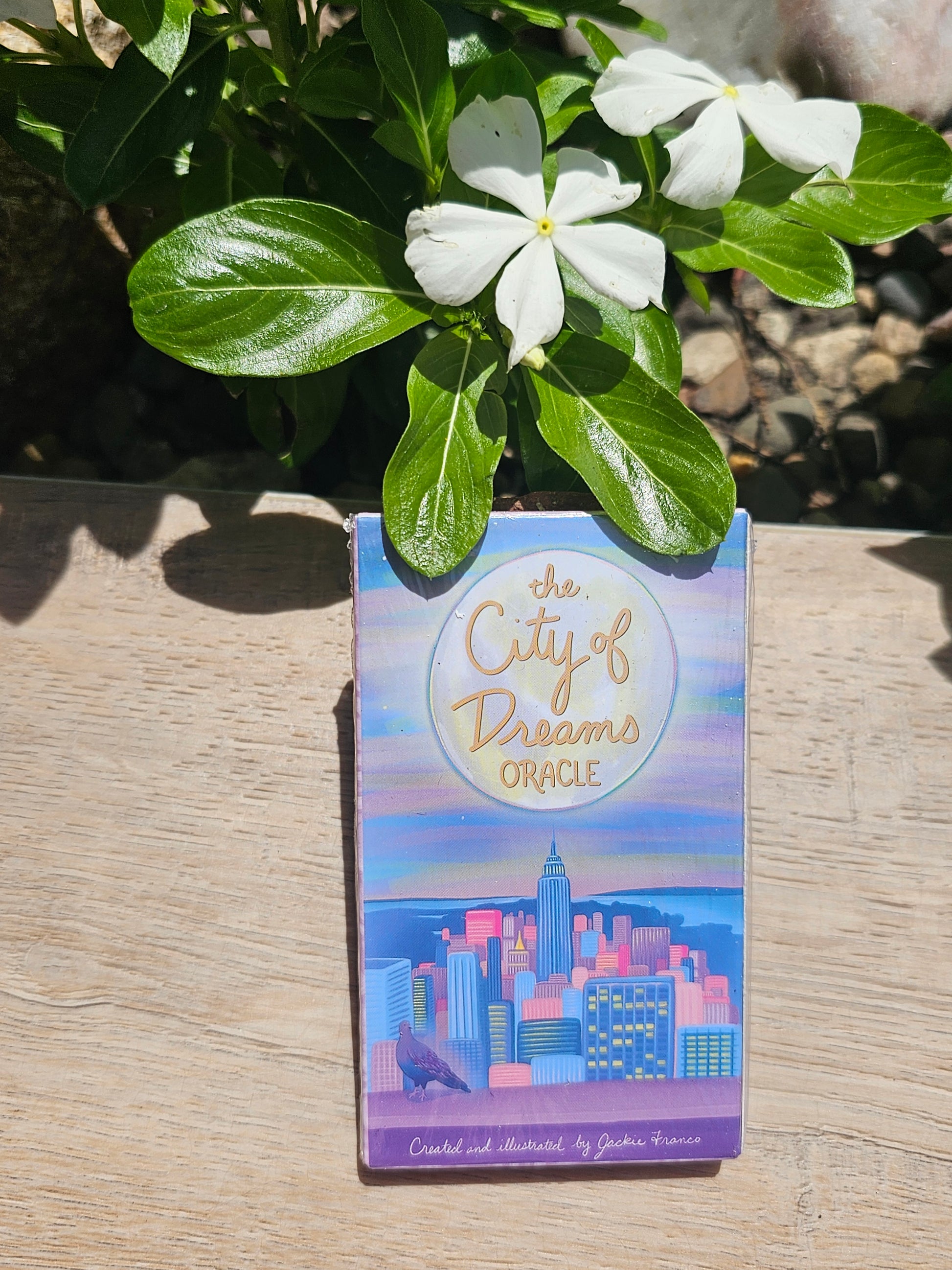 The City of Dreams Oracle Cards